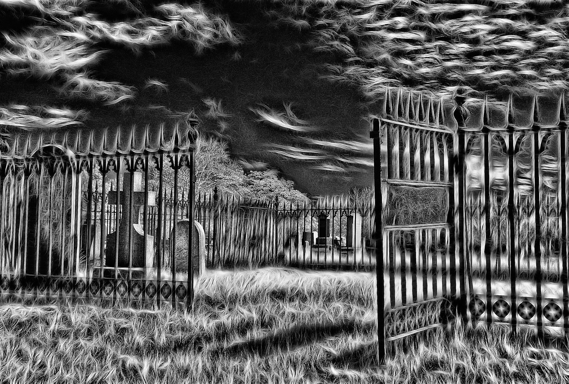 , published in B&amp;w magazine issue 88 Dec 2011 Gold award. 4th place B&amp;W  oct 2012 ACC