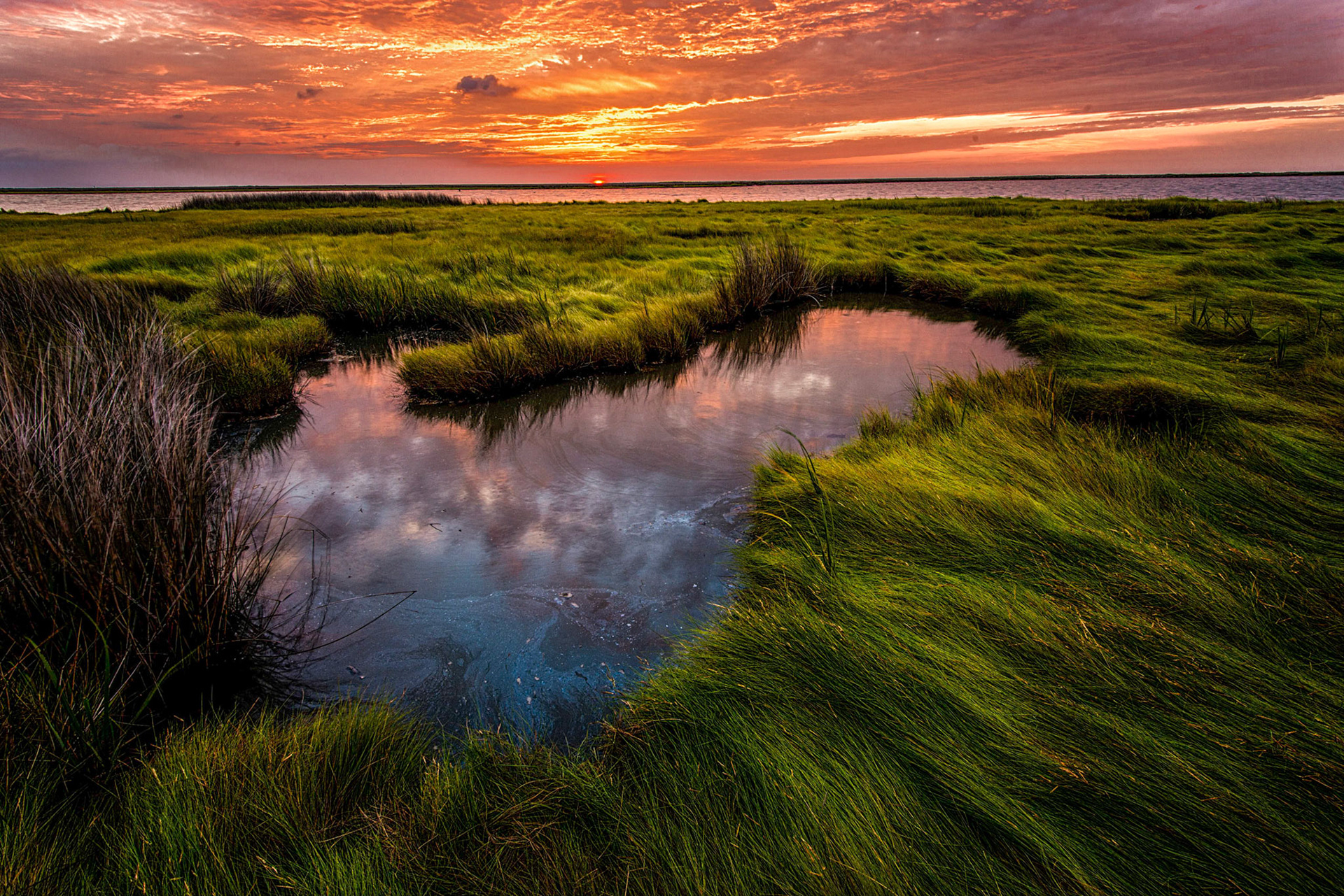 1st place color prints 9/25/13 ACC