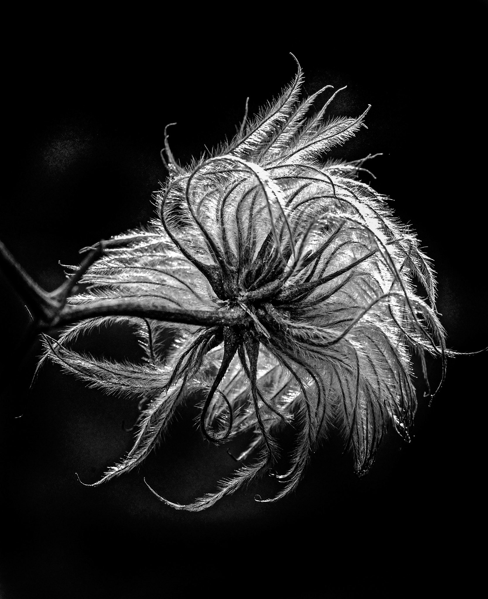 1st place AAC prints, 3rd place EOY prints