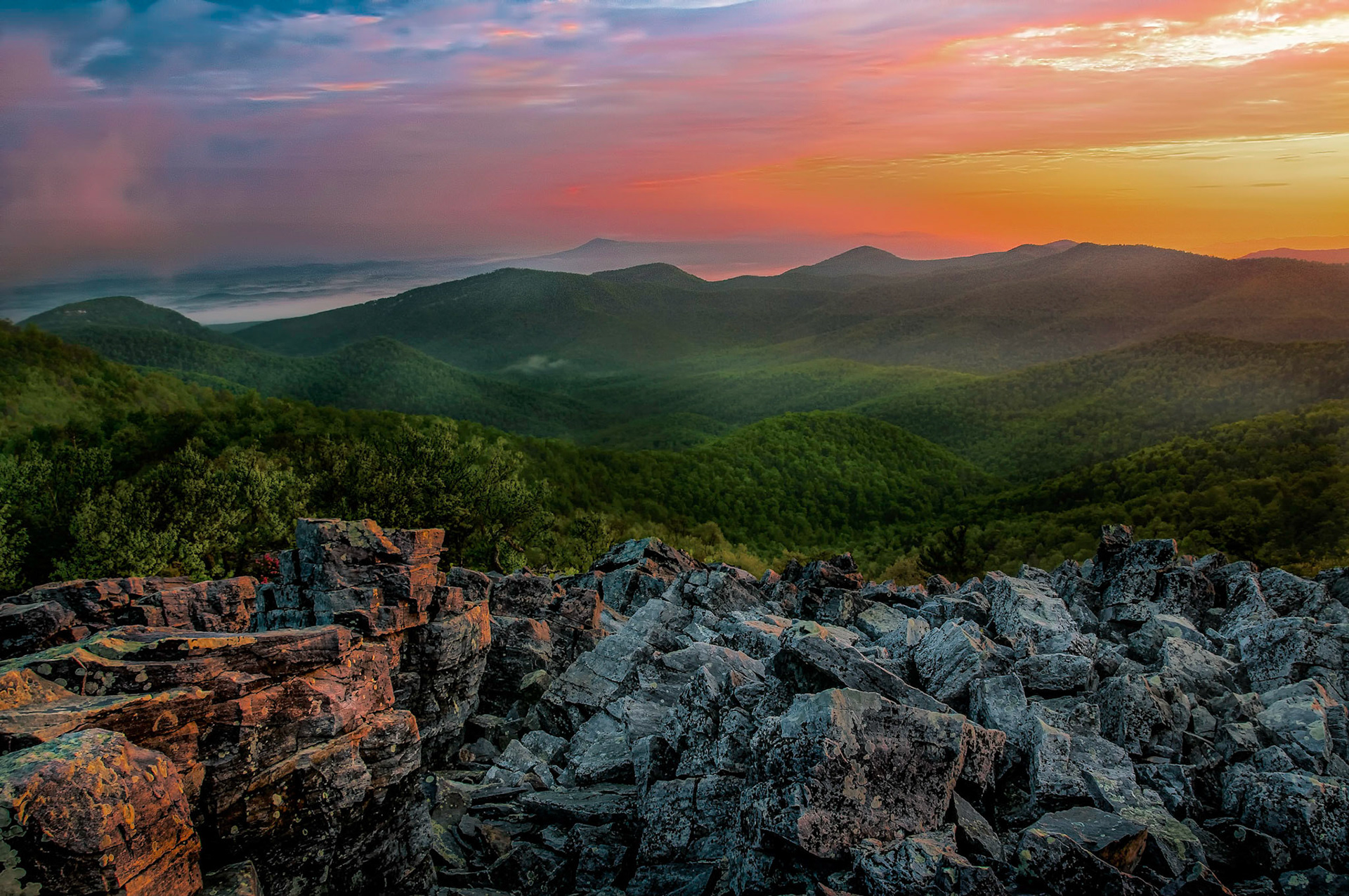 HM color prints 12/11/13