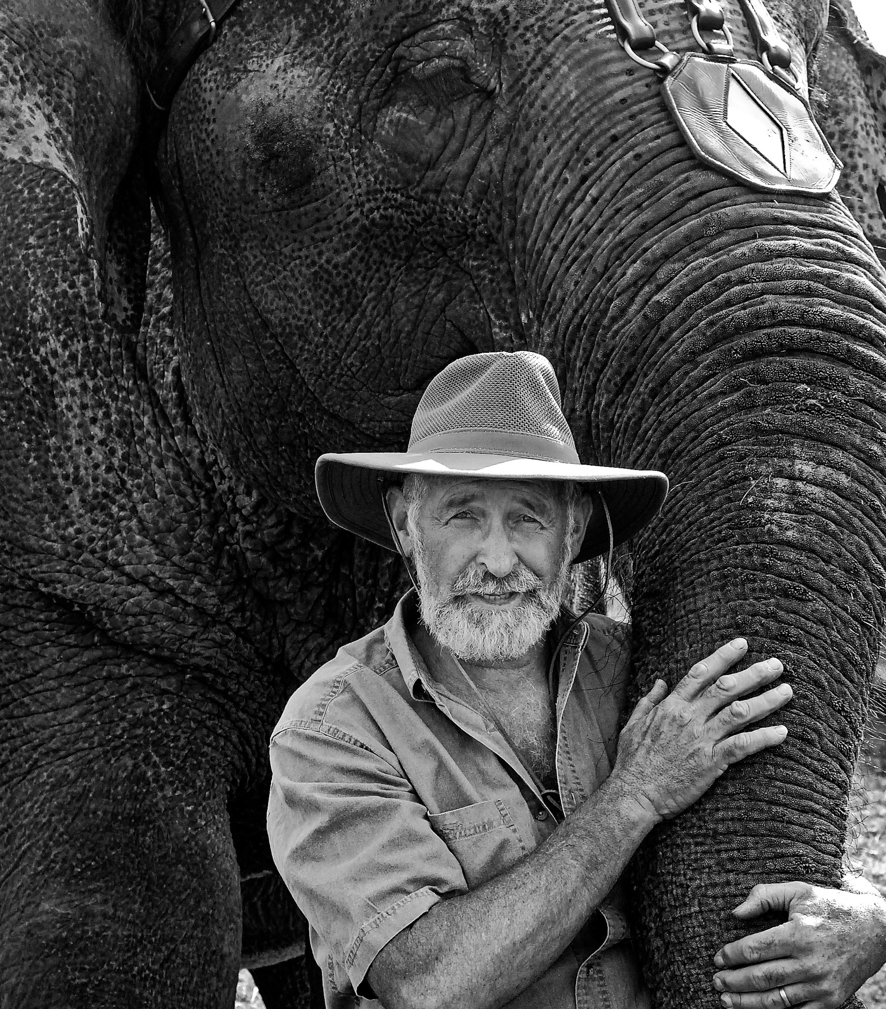 2nd place color prints, 2nd place color prints EOY, Honorable mention digital