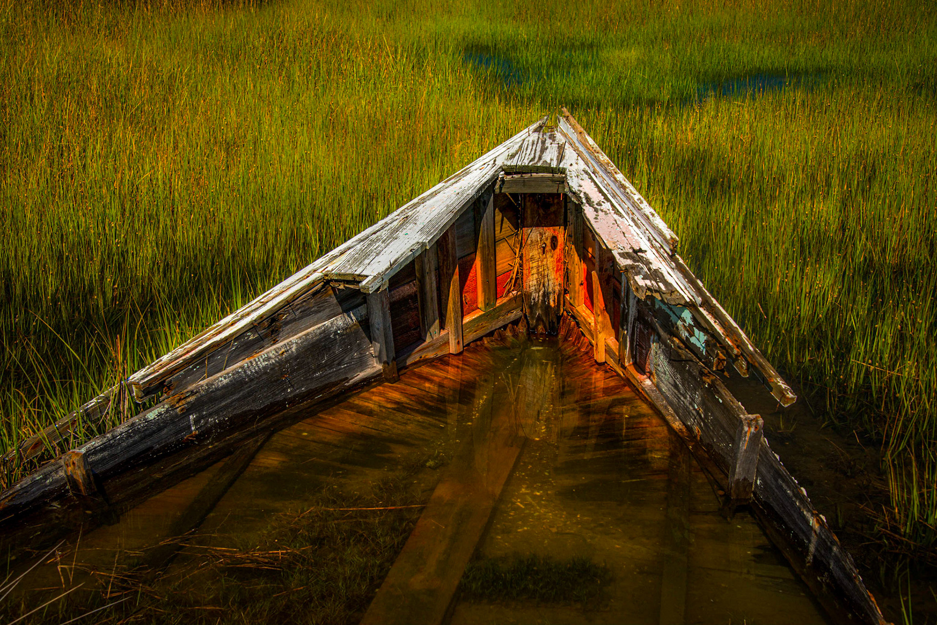 3rd place Color prints 9/25/13 ACC