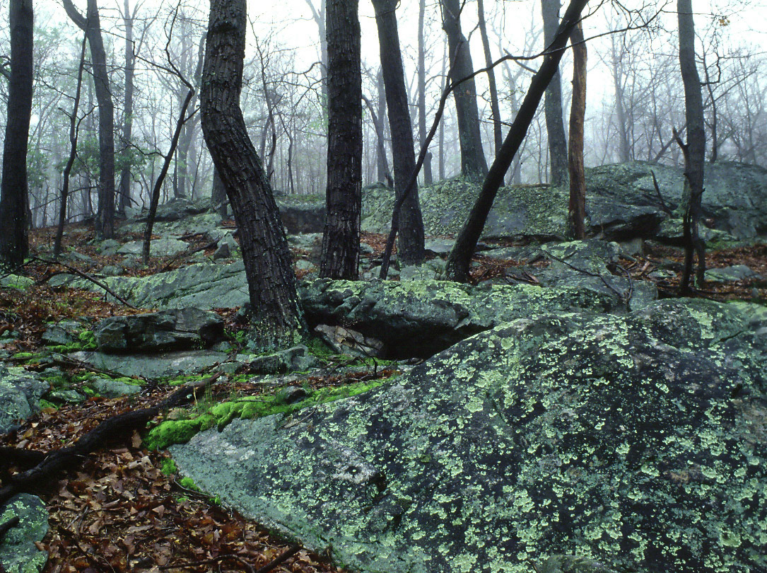 2nd place slides -ACC 11/18/09