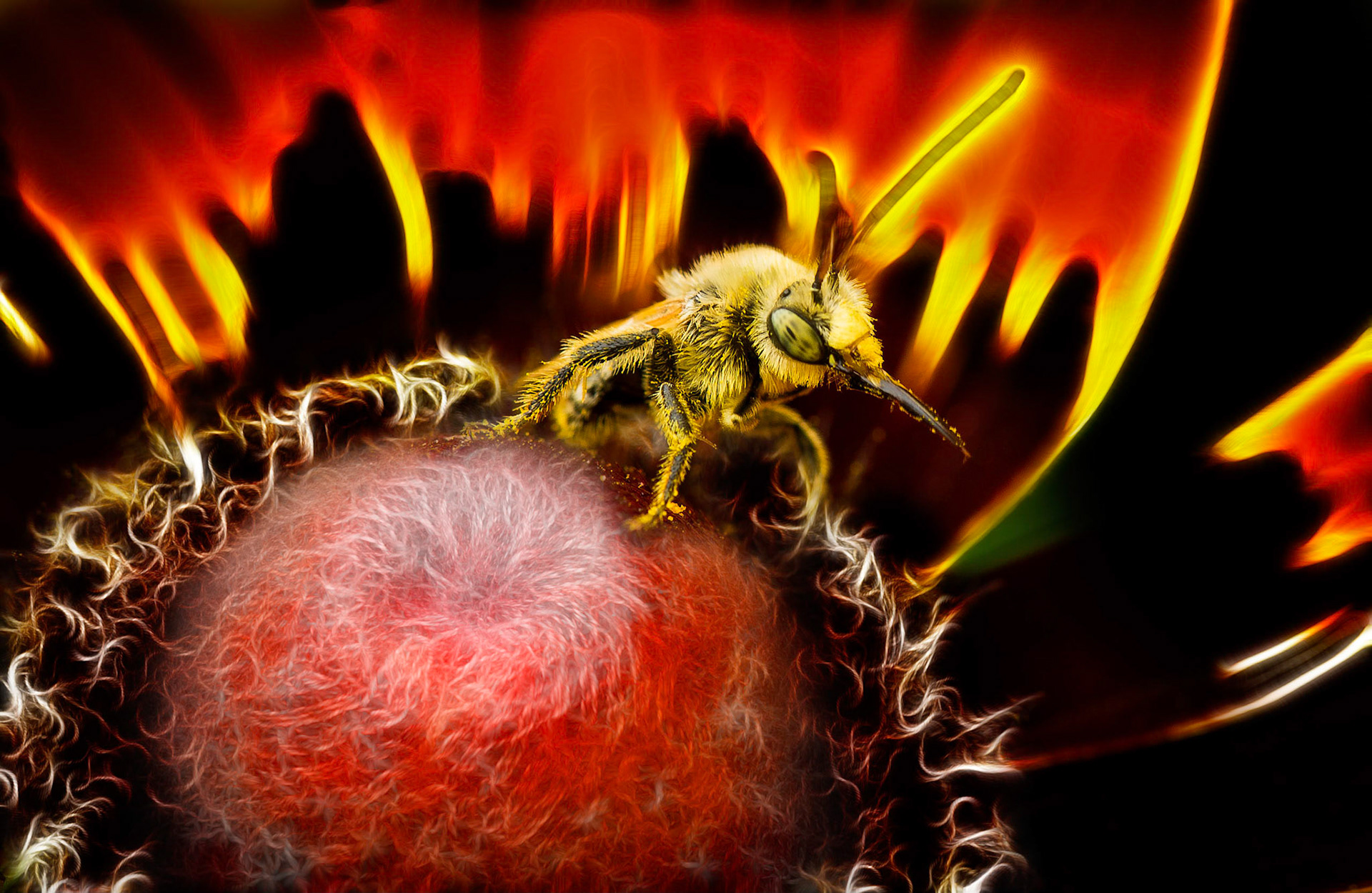 1sp place digital 3/13/13