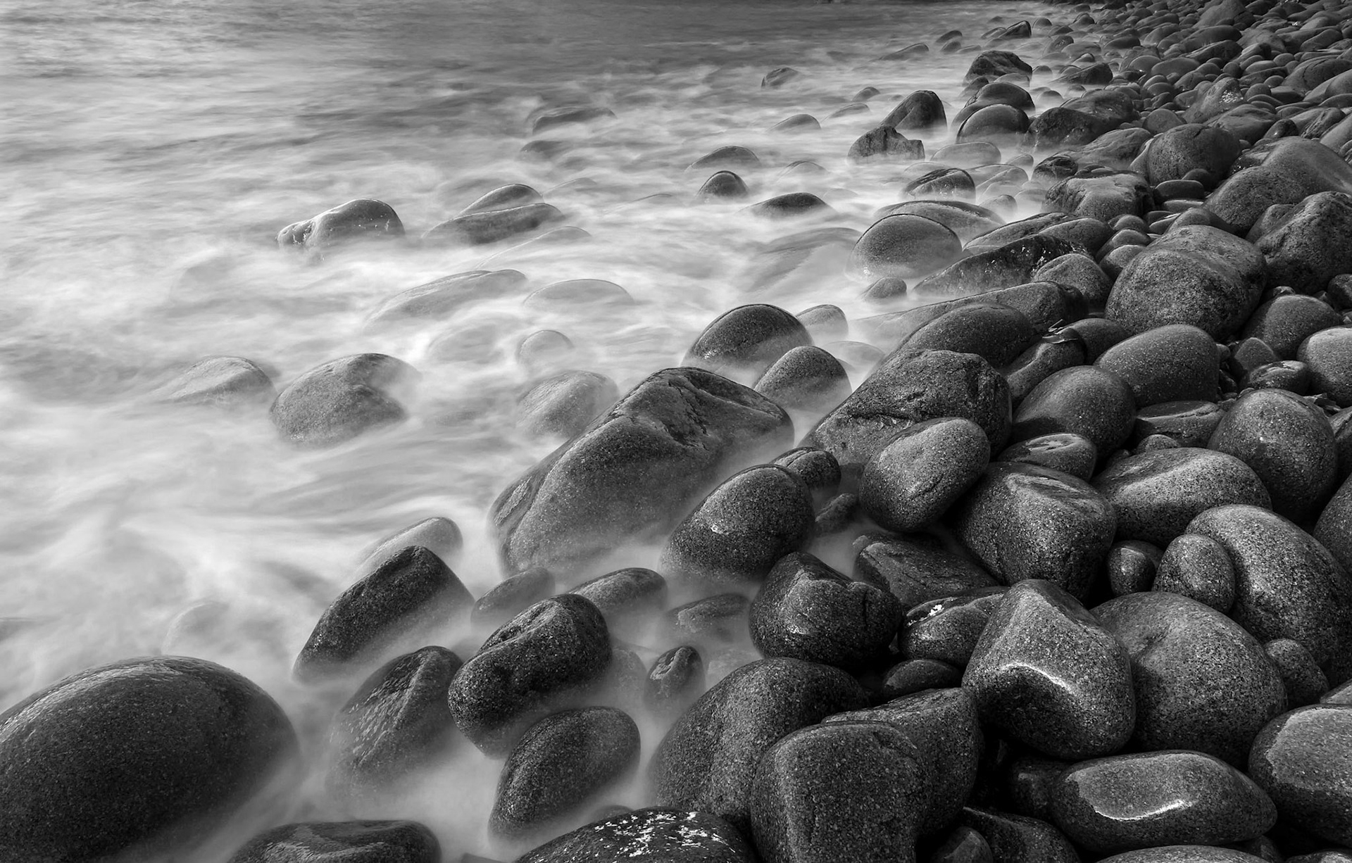 4th place Color prints ACC