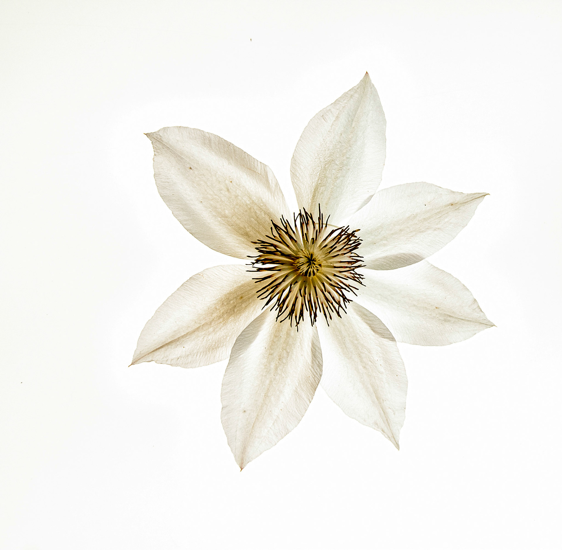 First place digital oct 2012