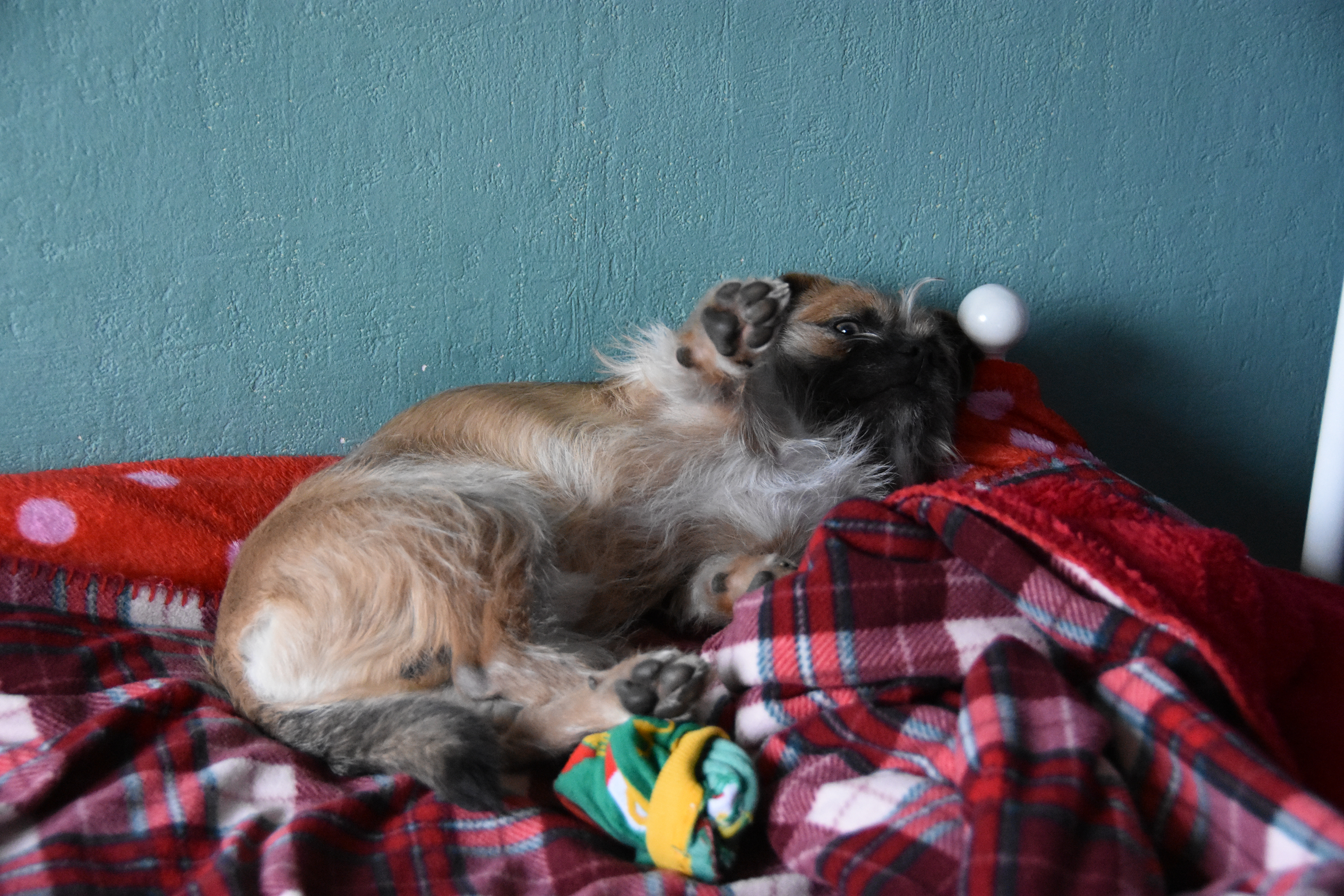 ''please, no pictures''