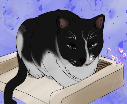 a digital portrait of a friends cat