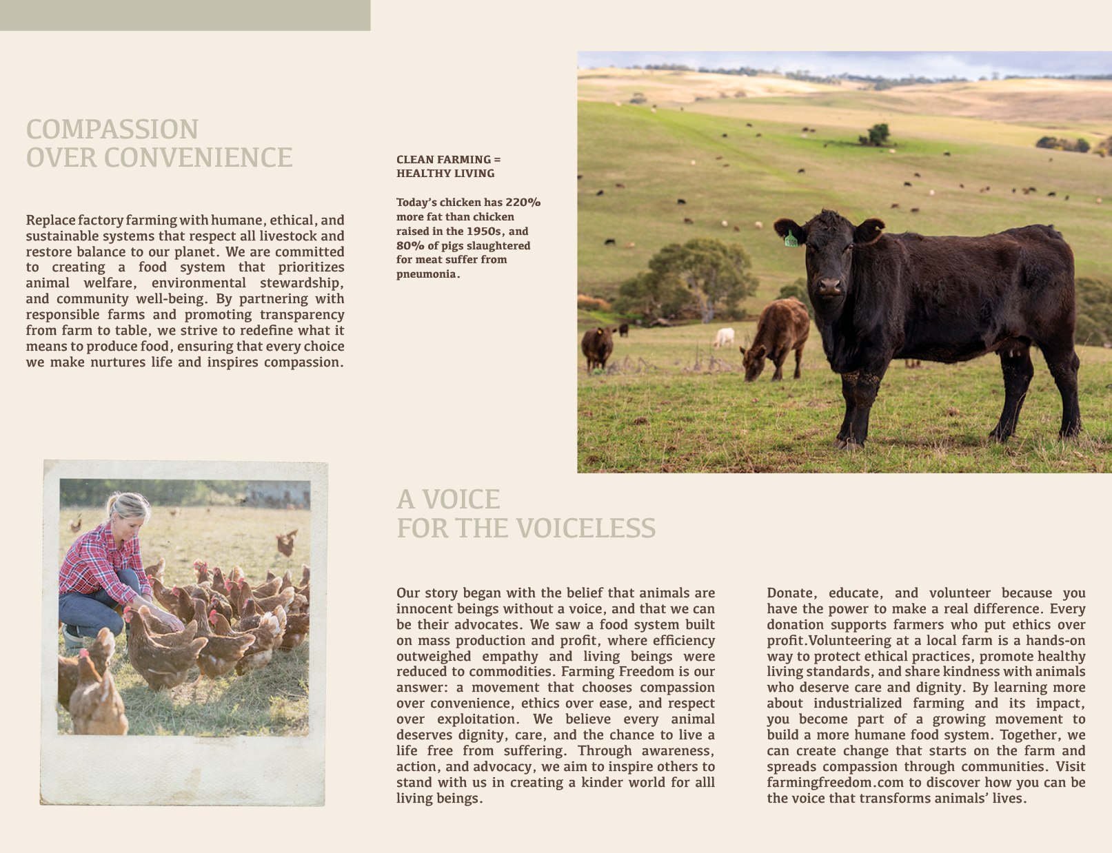 Brochure Side 2