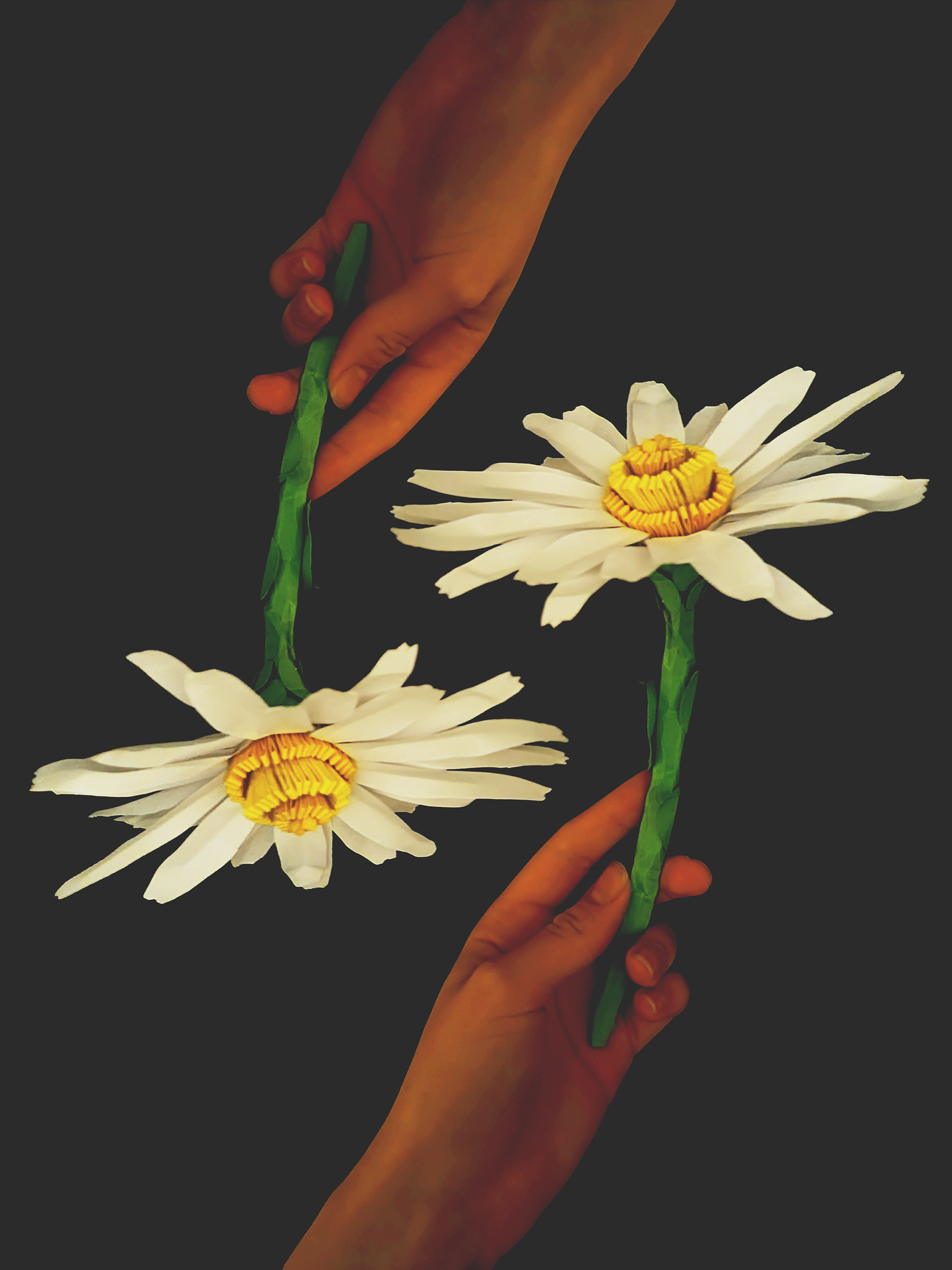 pappersblomma