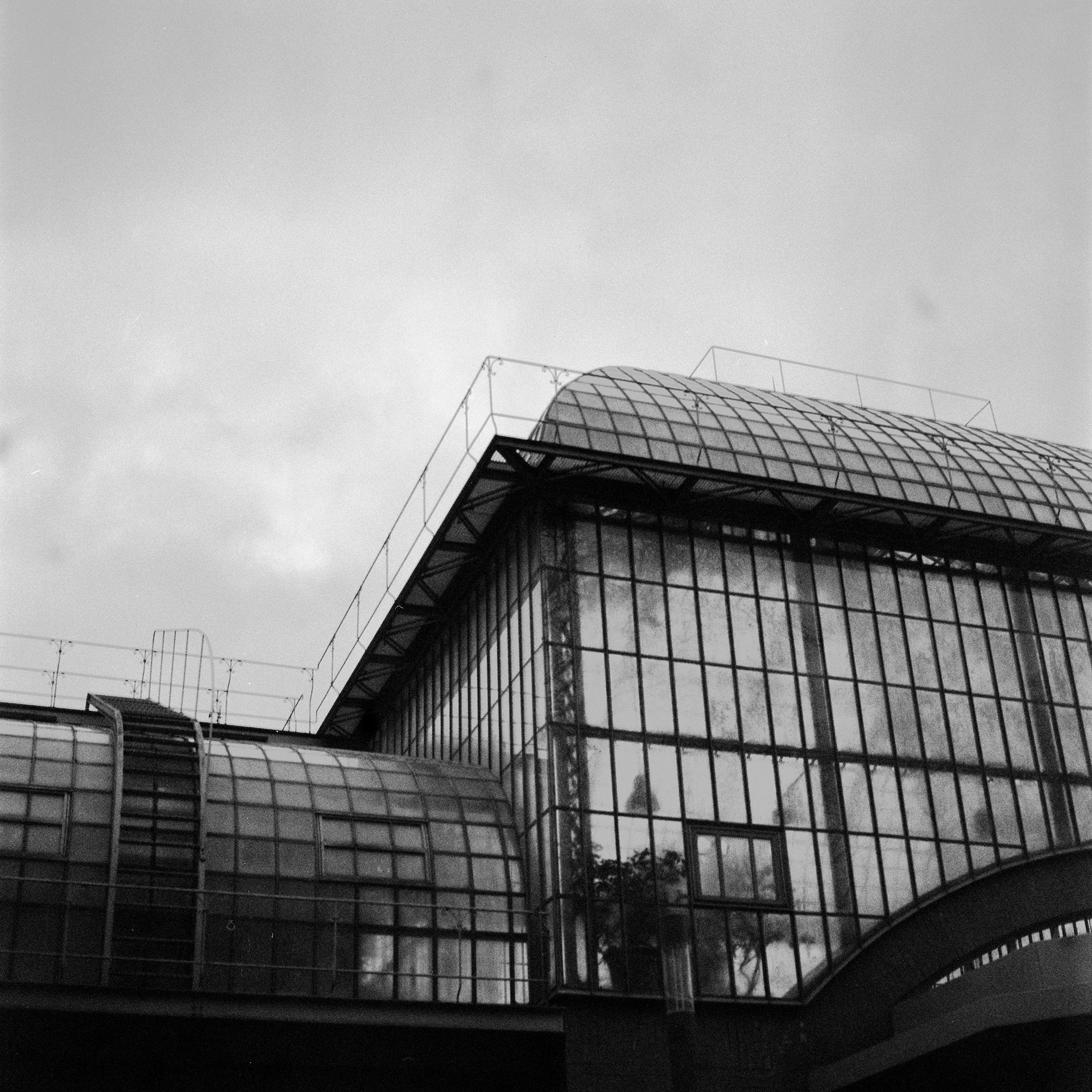 Greenhouse : Hasselblad 500c, Carl Zeiss 80mm f/2.8 Fomapan 400