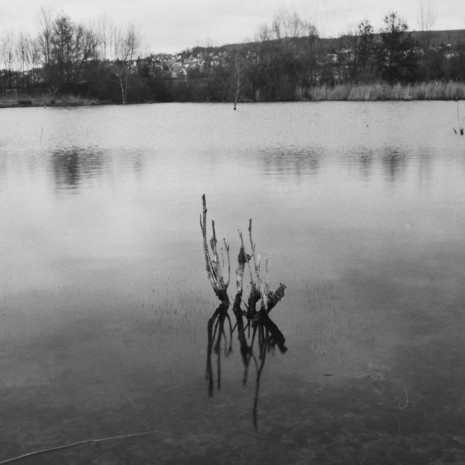Calm Waters : Hasselblad 500c, Carl Zeiss 80mm f/2.8 Fomapan 200