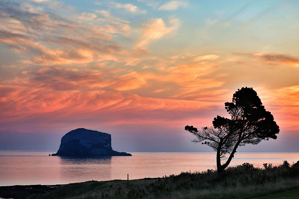 Bass sunrise , tree silhouette