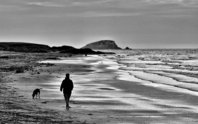 East Beach, Walking the dog
