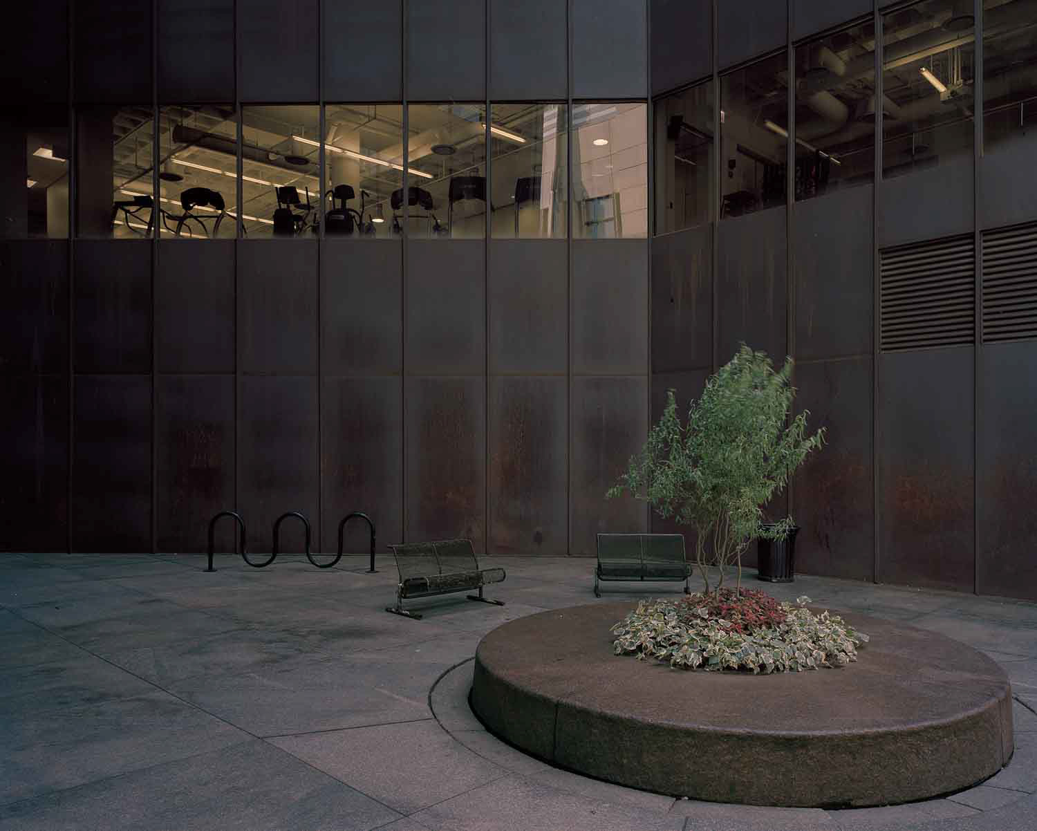Tree and Rusty Wall, 2013
