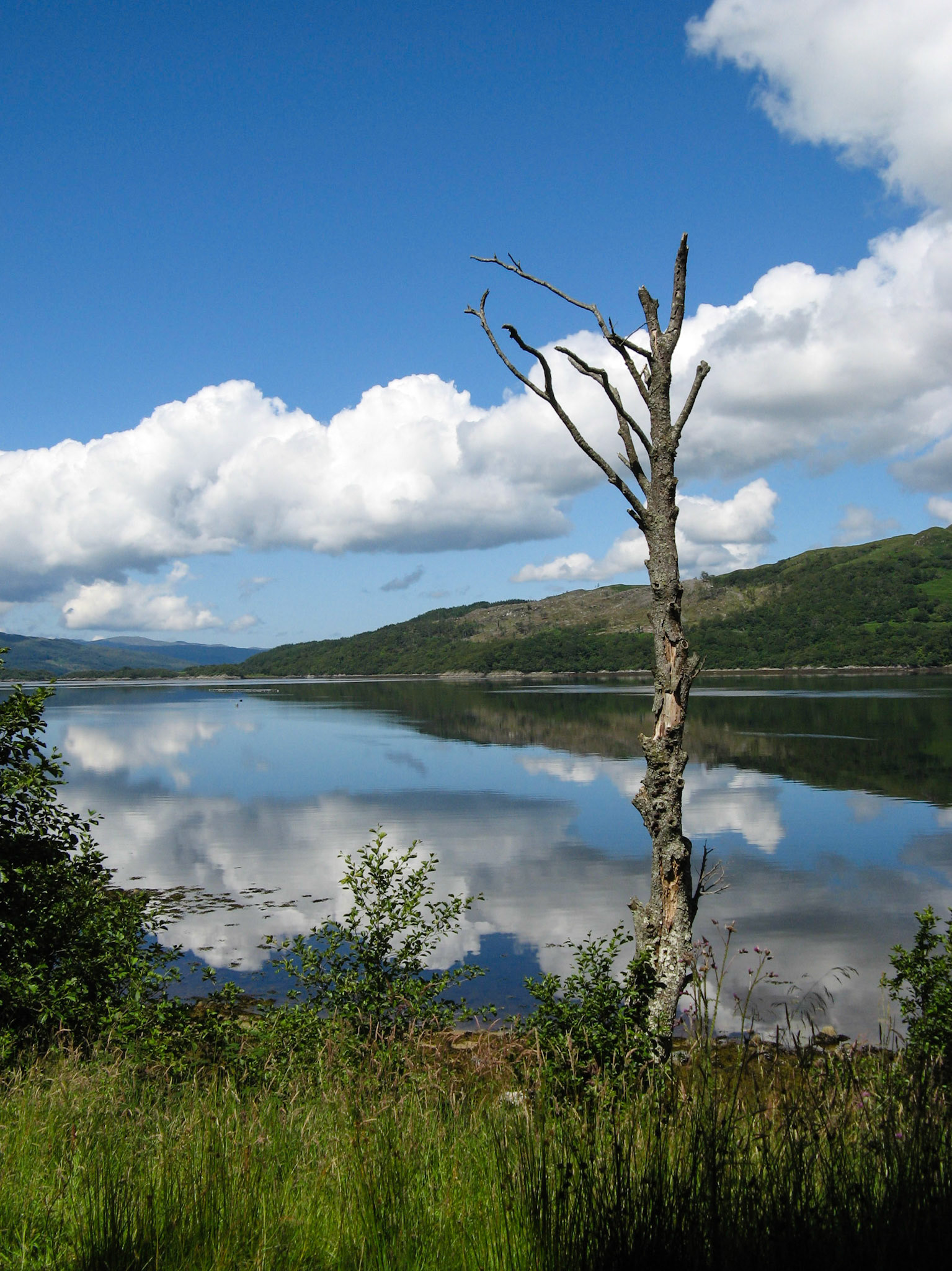 Argyll 5.8 mm 1/1000 sec at f 4.0