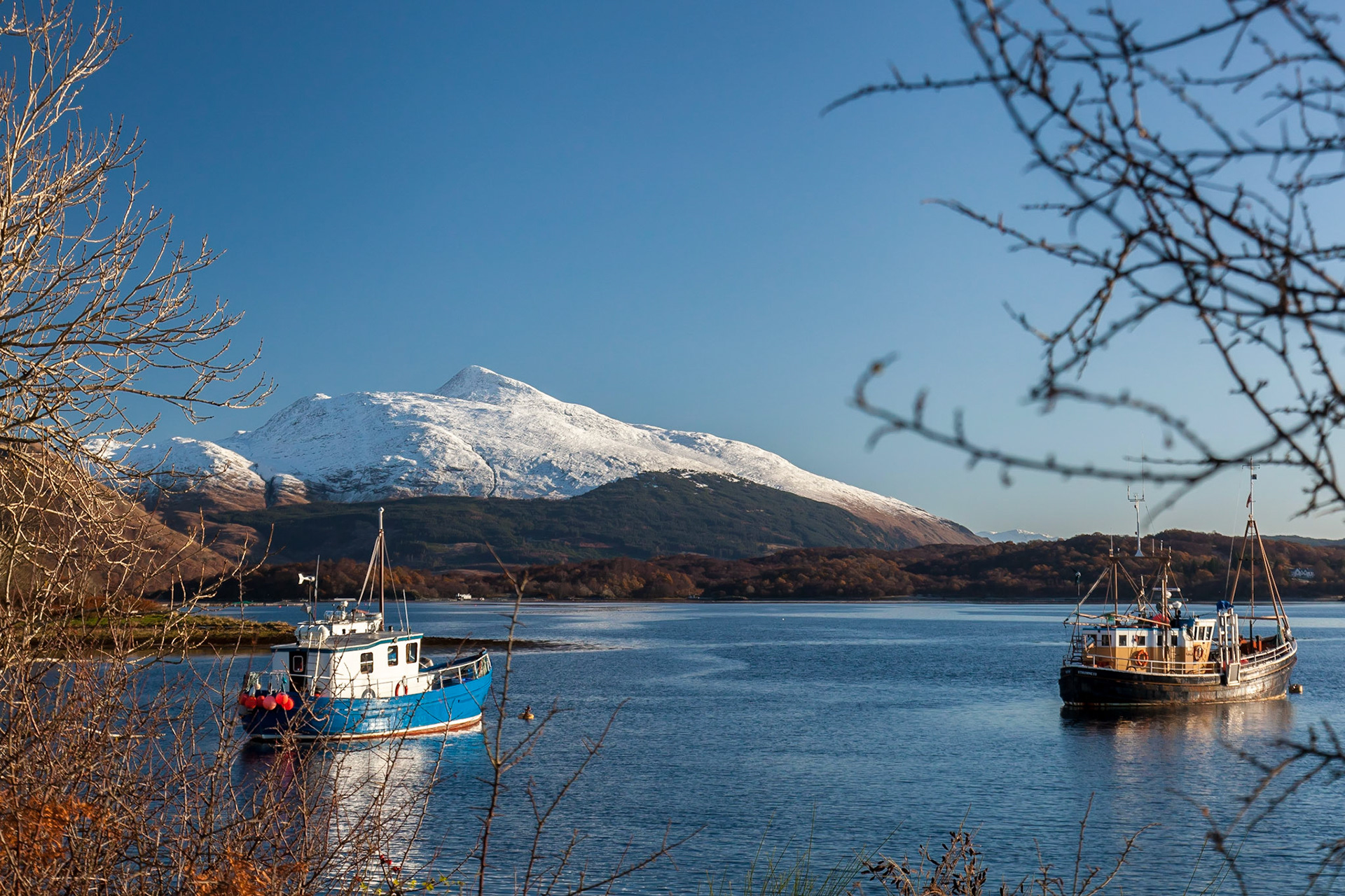 Connell Argyll 58 mm 1/250 sec at f 8.0