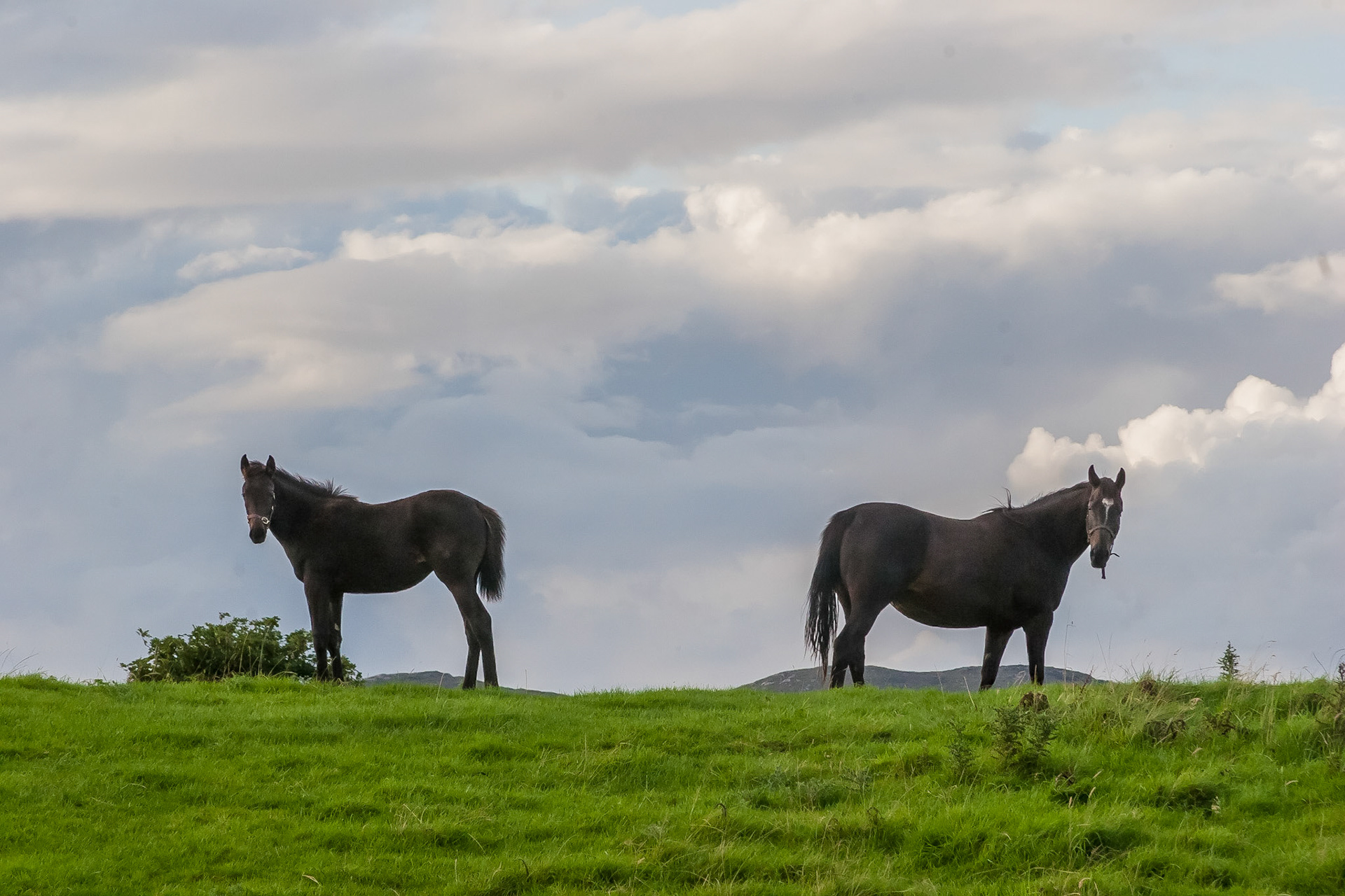Co Sligo 135mm 1/250 sec at f 16