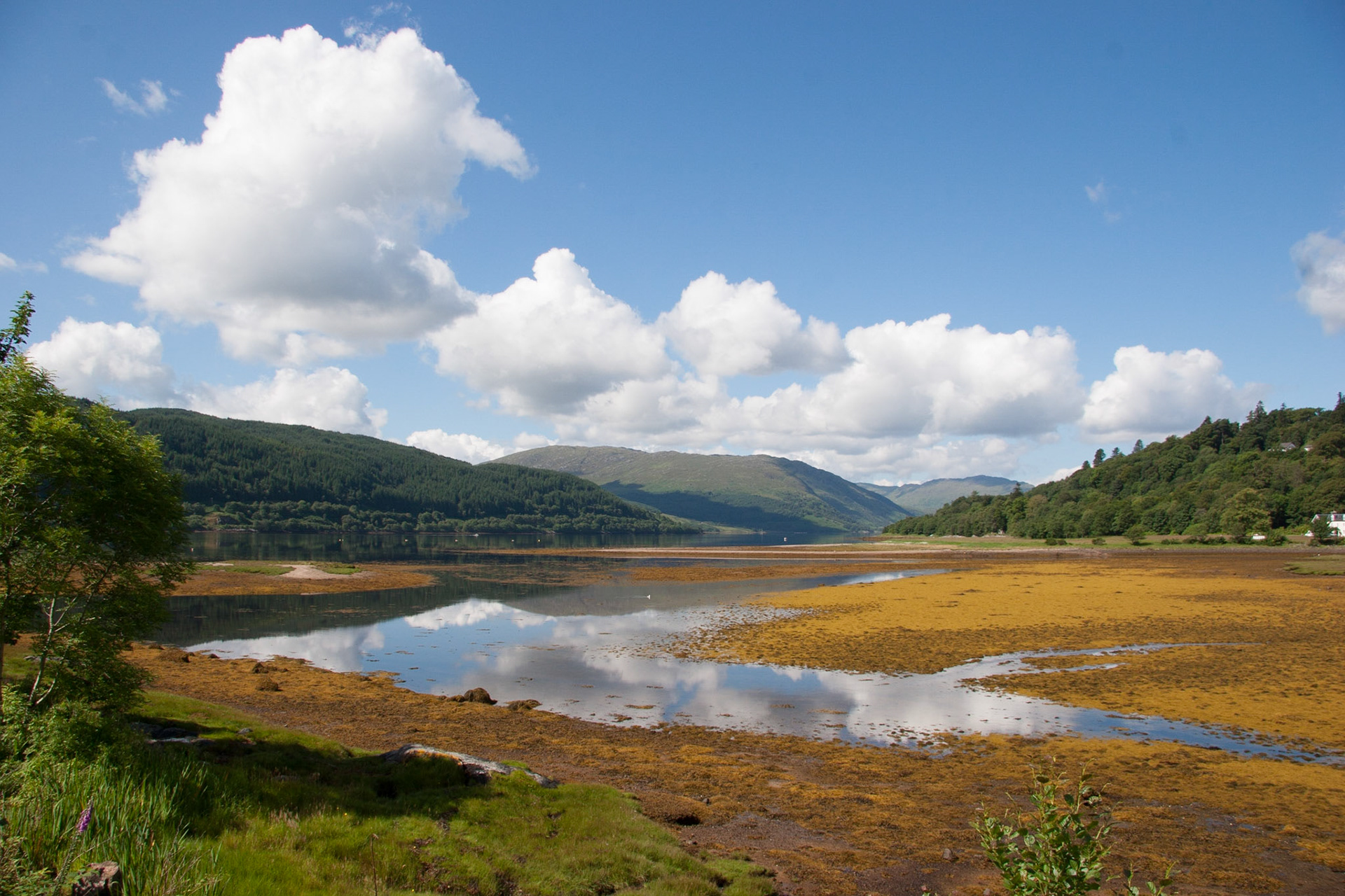 Argyll 17 mm 1/180 sec at f 9.5