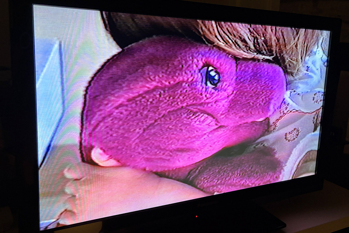 Nicole loves Barney