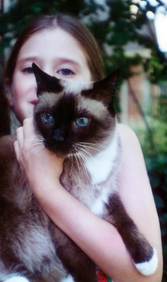 Beautiful Tiam cat and Nicole - 1997