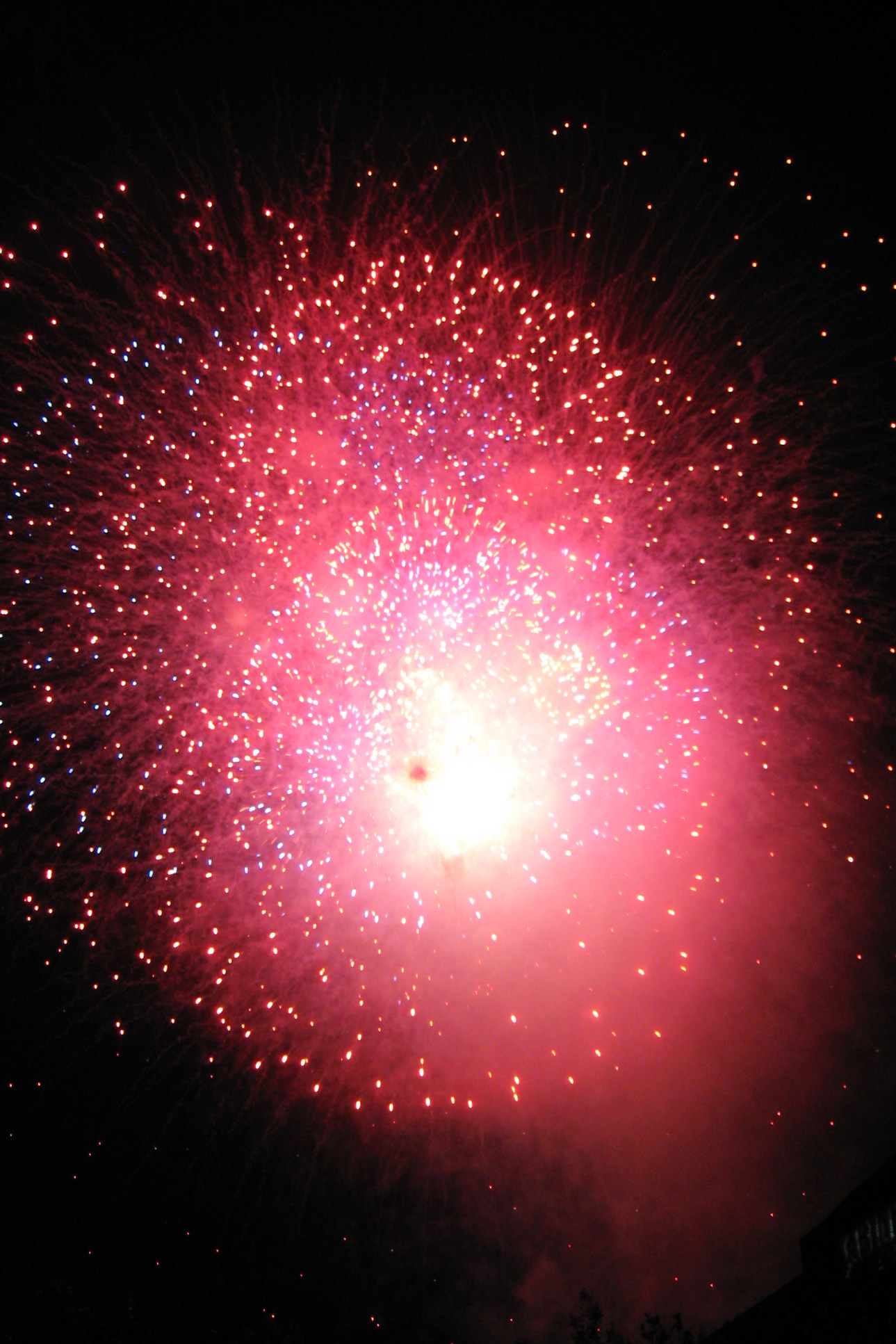 2010 - Fireworks photo by Nicole, Houston, TX