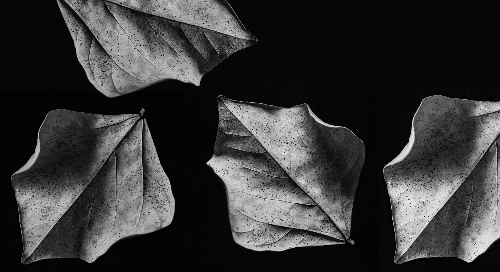 Las Cuatro Estaciones en algún lugar, Vir Torres, CDMX