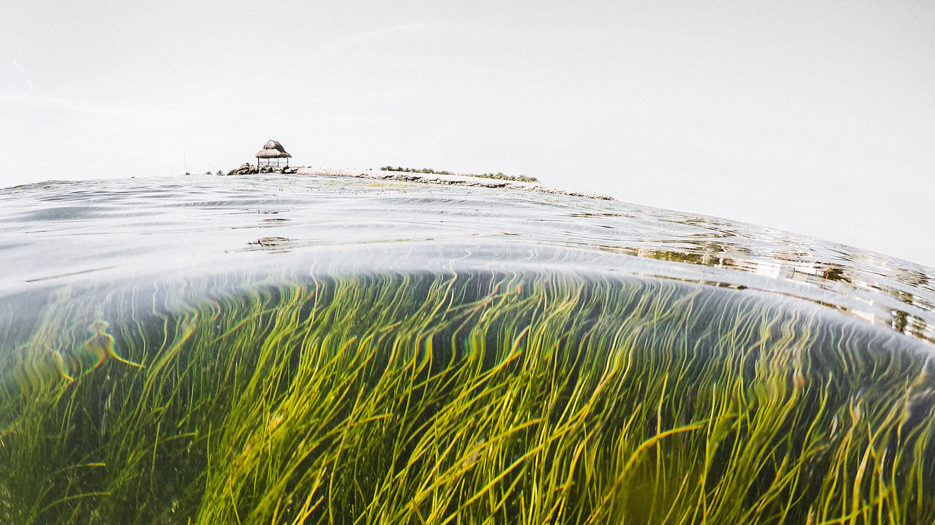 DCIM\100GOPRO\GOPR0828.