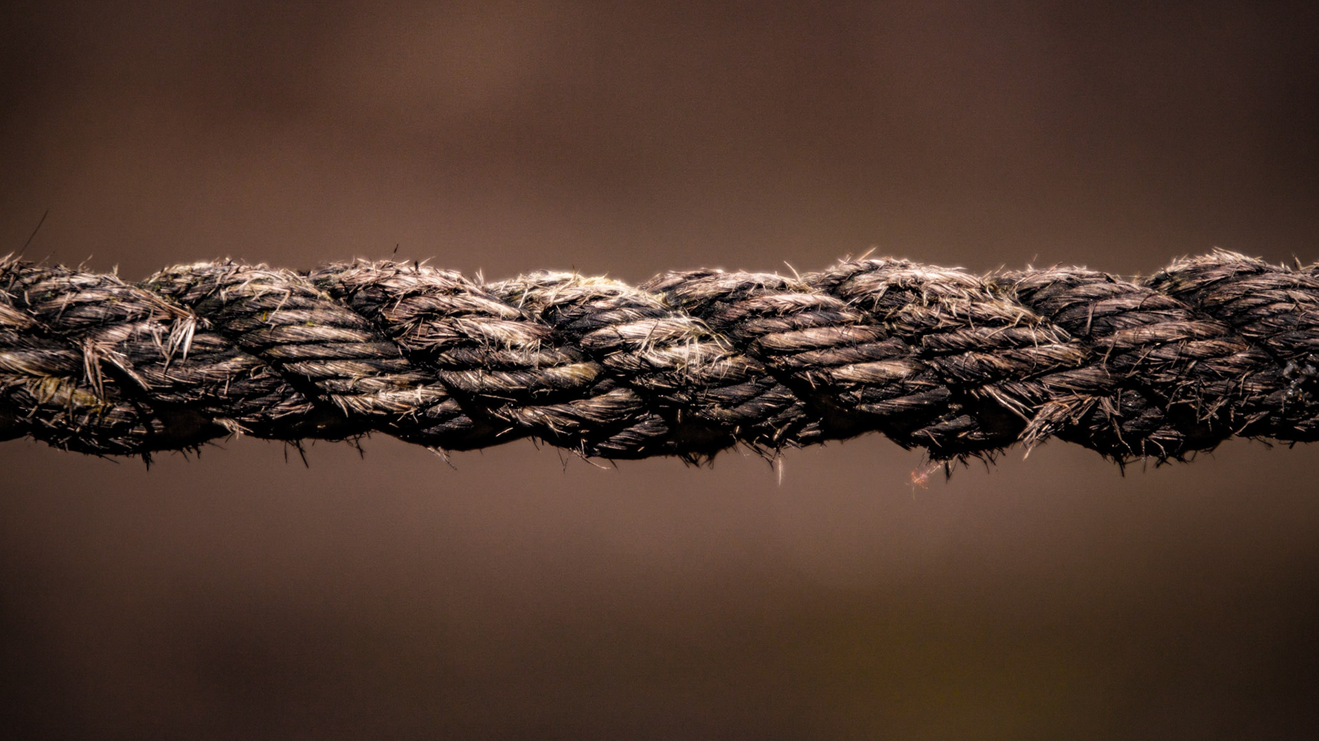 Sujétate Fuerte, Vir Torres, CDMX