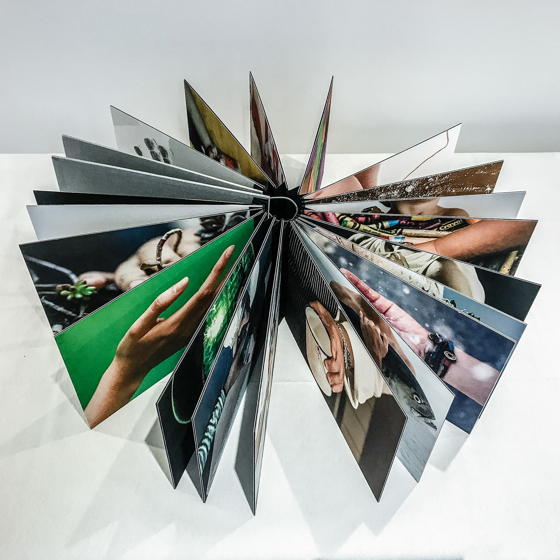 Libro Nuestras Manos