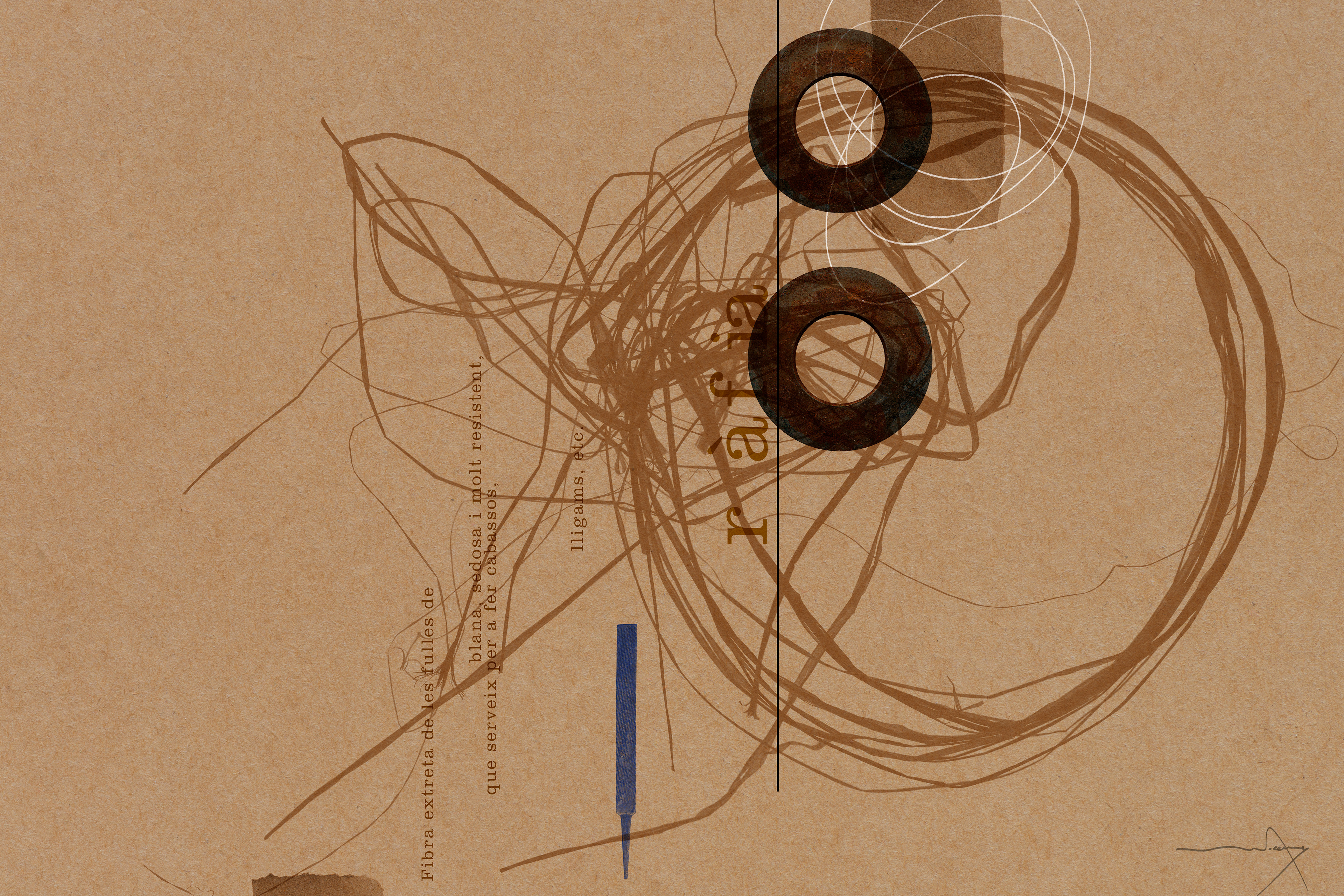 Dues Volanderes damunt Ràfia (Two Washers on Raffia)