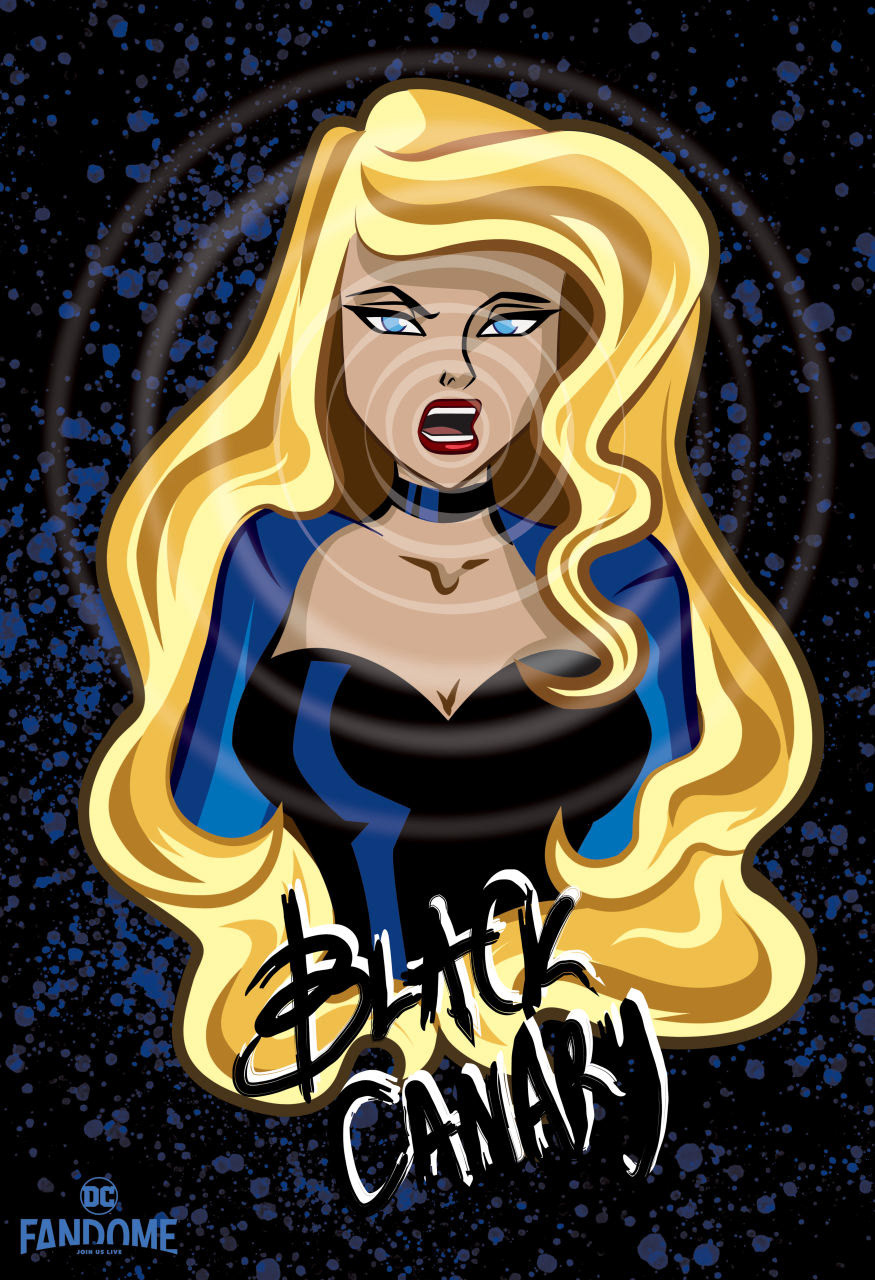 Black Canary from the Justice League television show (2001)