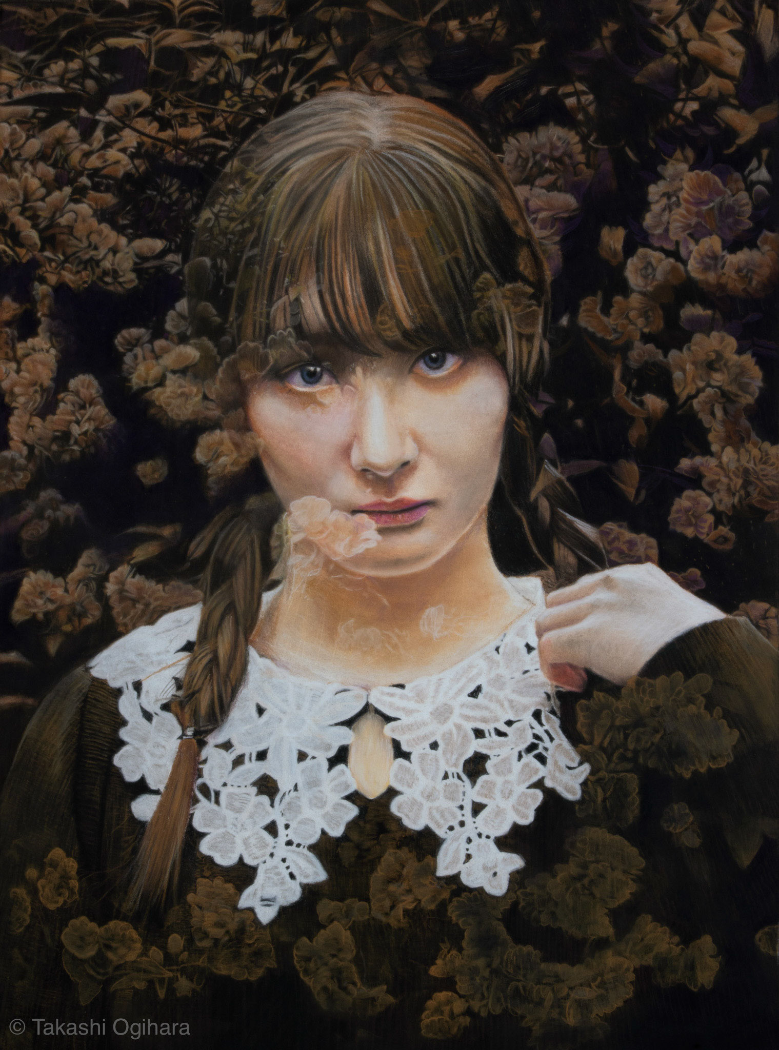 Today 39: This year's Banksia Rose 2026: Updated through May 24 / 19 May 2026 Pastelmat 650mm✕488mm