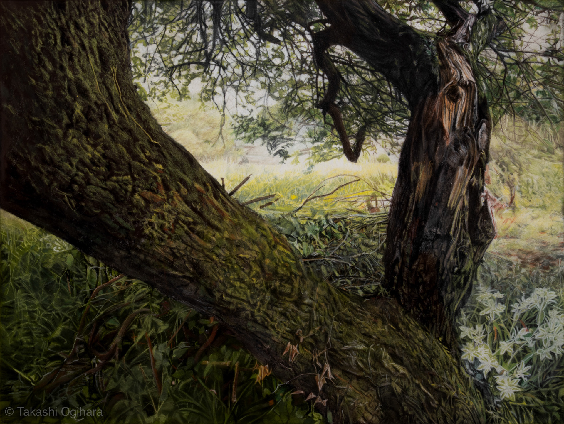 07 November 2025 Pastelmat 650mm✕488mm/A tiny slice of Earth7 / ひとひらの地球 7 : Atypical landscape painting / 非典型的な風景画