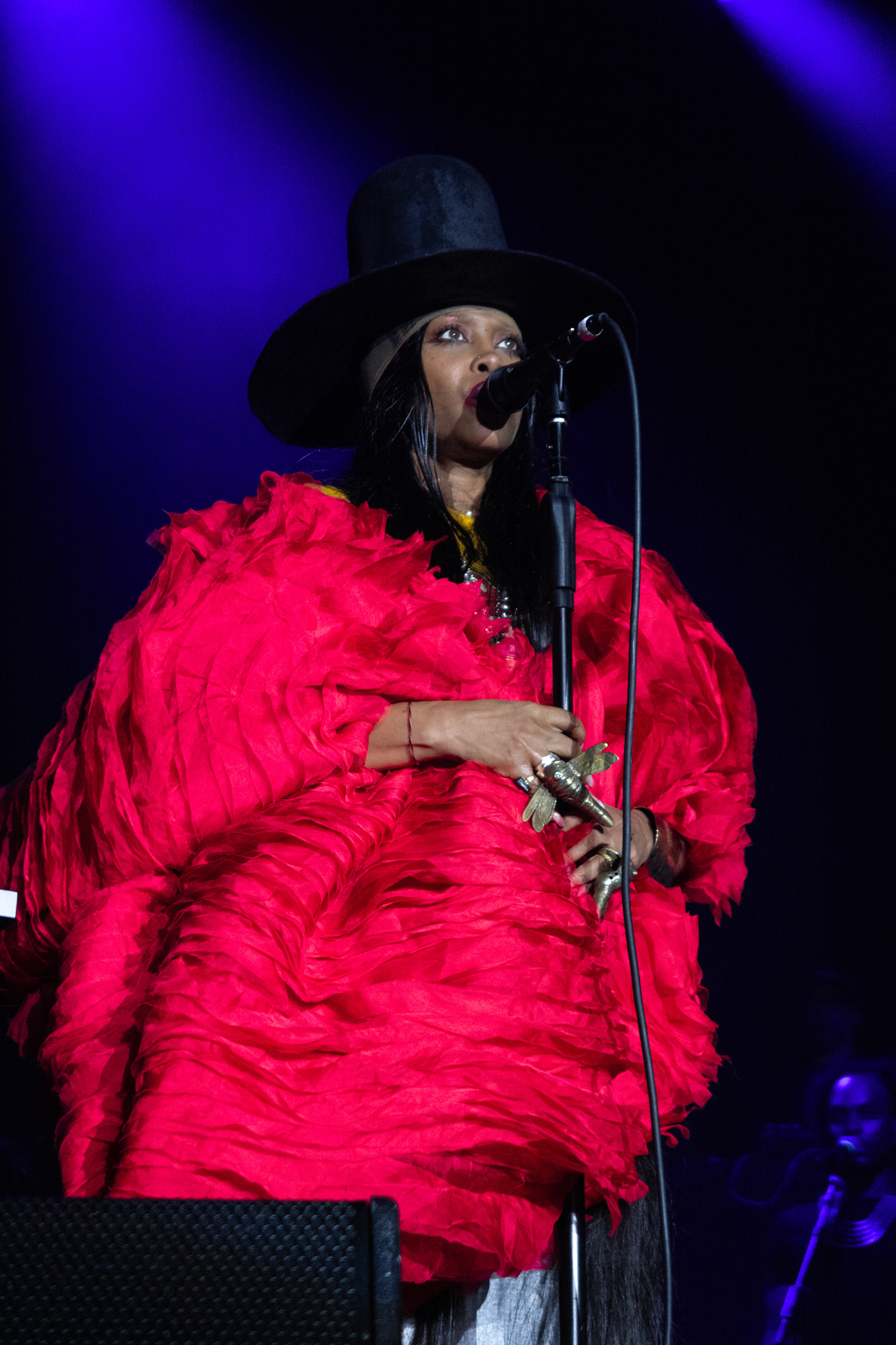 Erykah Badu