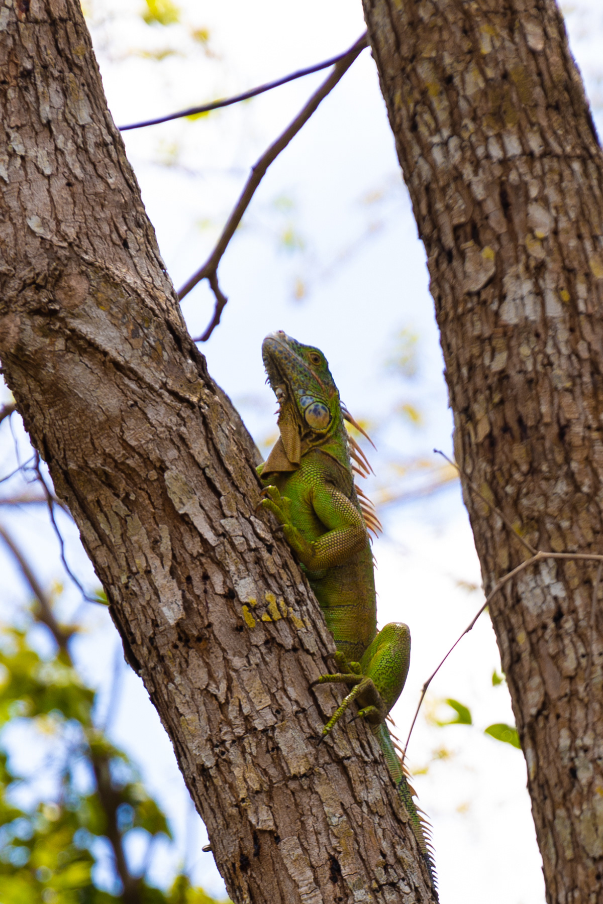 Cozumel, Mexico