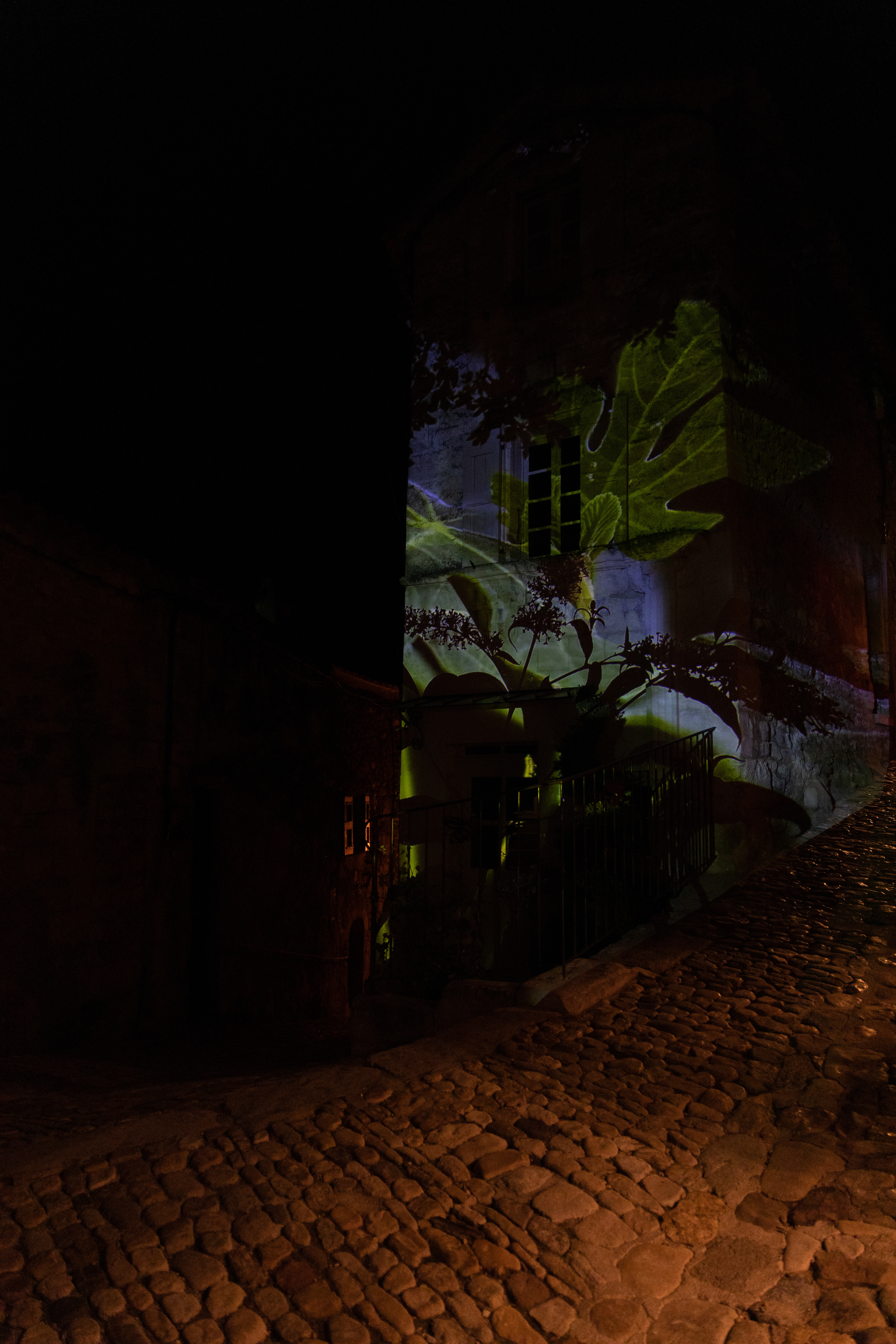 SCAD Lacoste Les Nocturnes - South of France