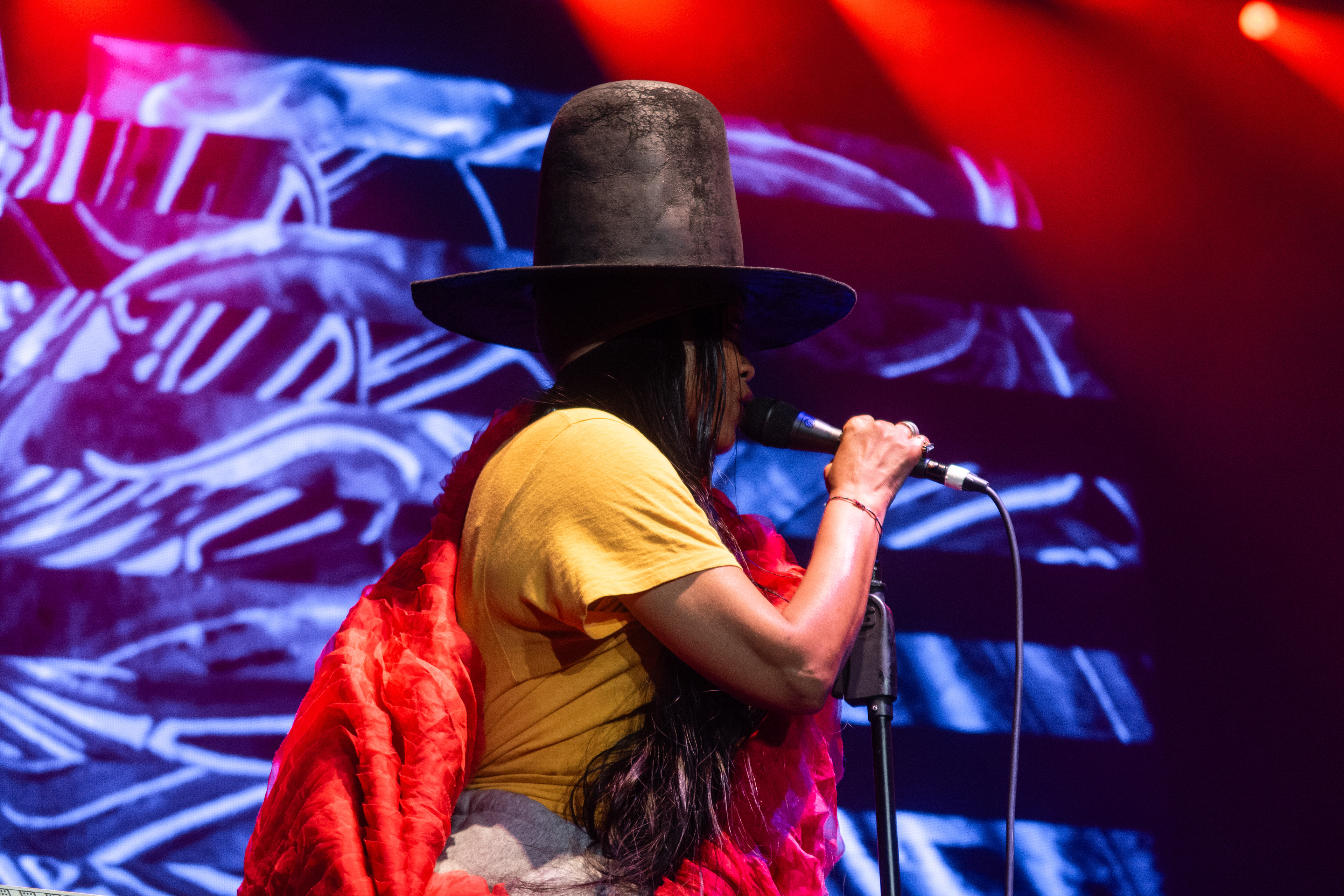 Erykah Badu