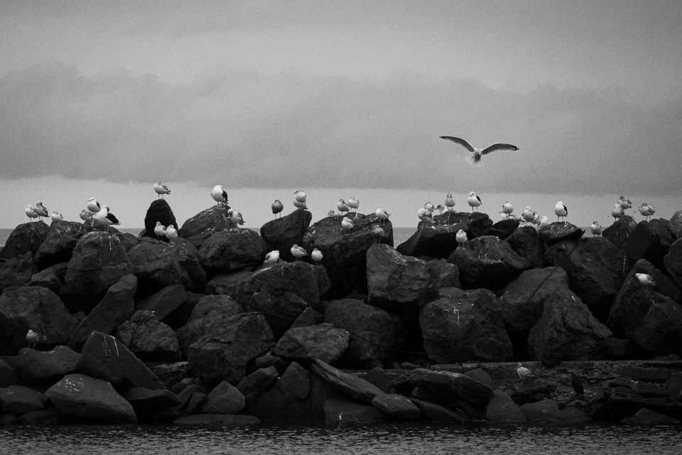 Pointe-du-Chêne, NB