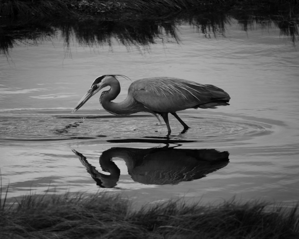 Pointe-du-Chêne, NB