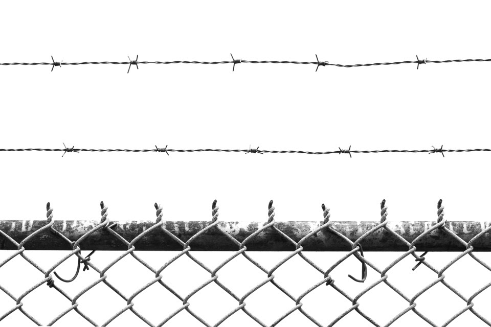 Fenced In