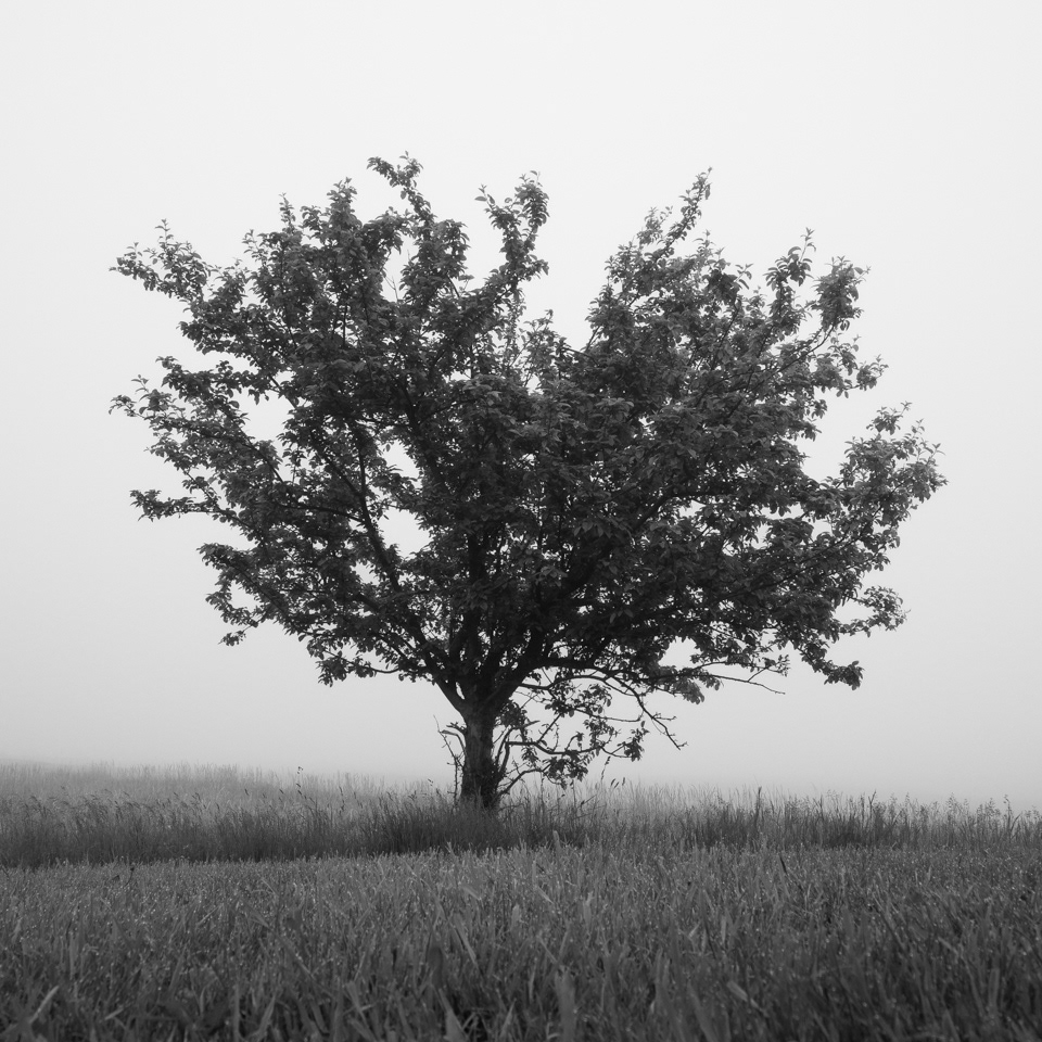 St. Andrews-by-the-Sea, NB