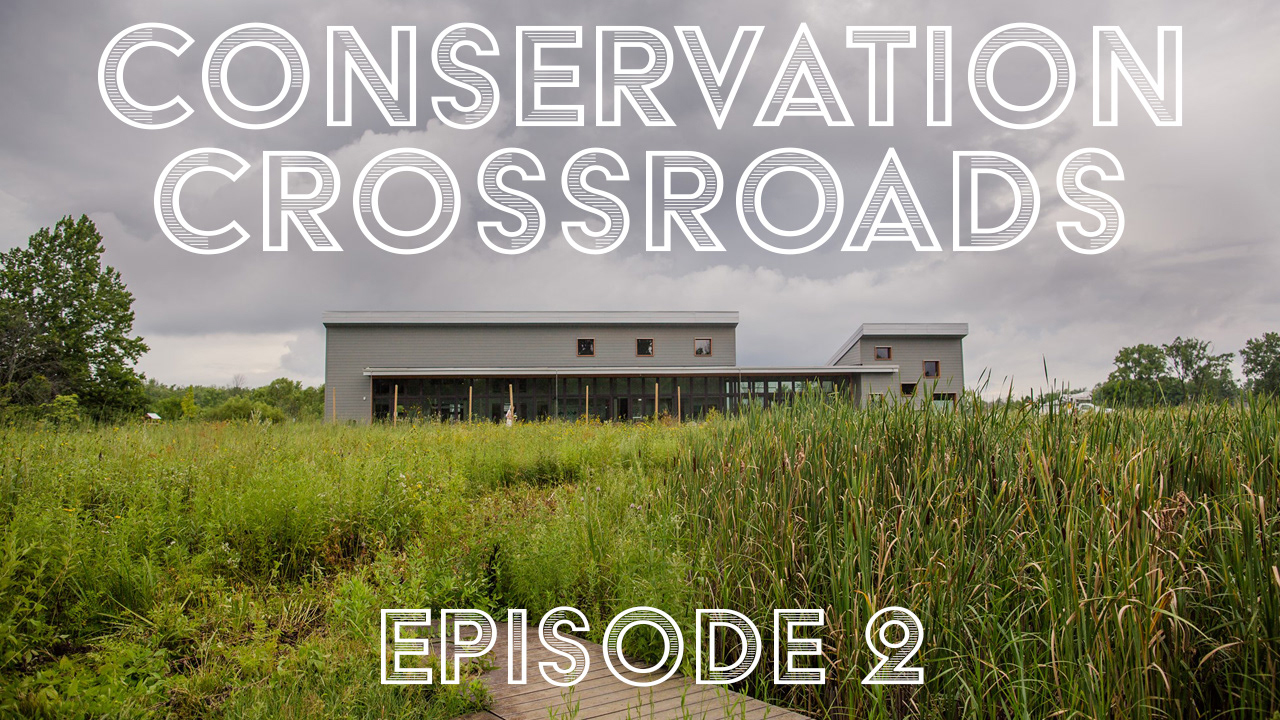 YouTube thumbnail for episode 2