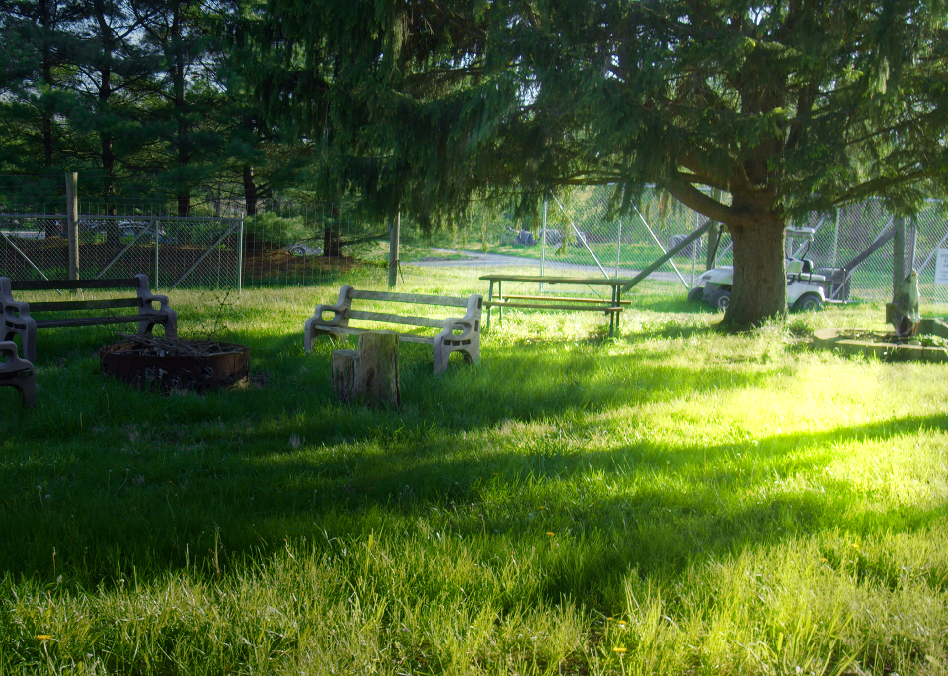 A resting spot at Wolf Park