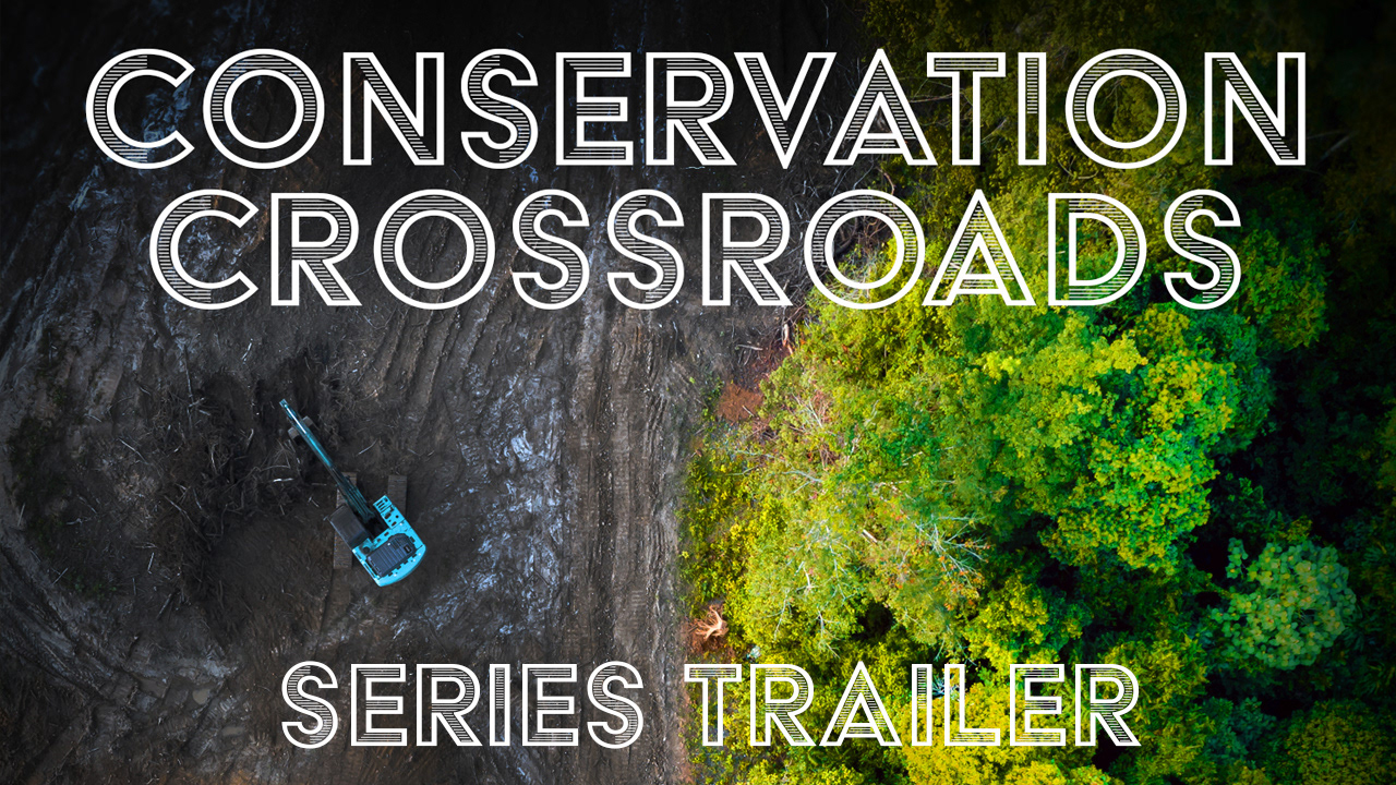 YouTube thumbnail for series trailer