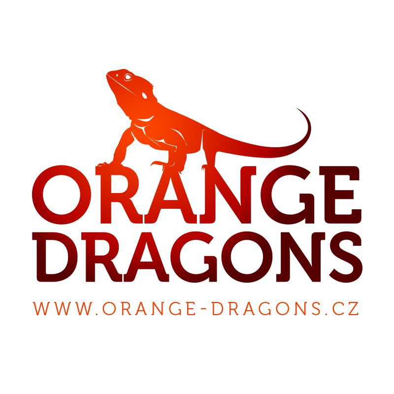 Orange-Dragons