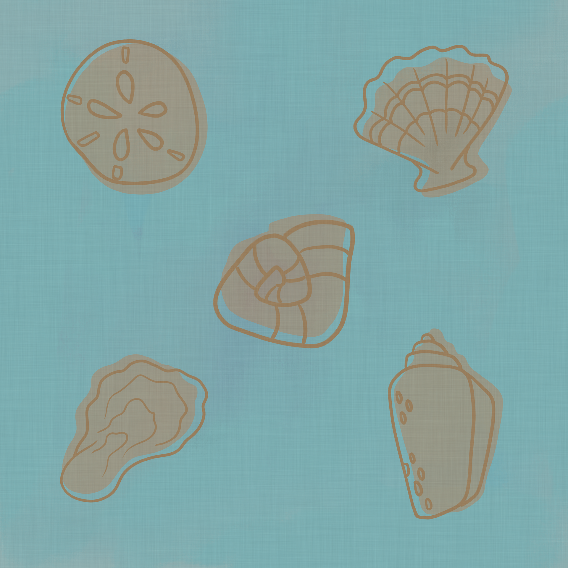 Beachy Shells
