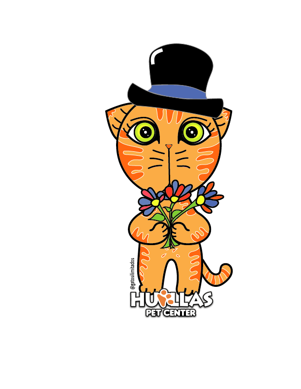 Illustrator Valentine's Cat Sticker for Pet Shop