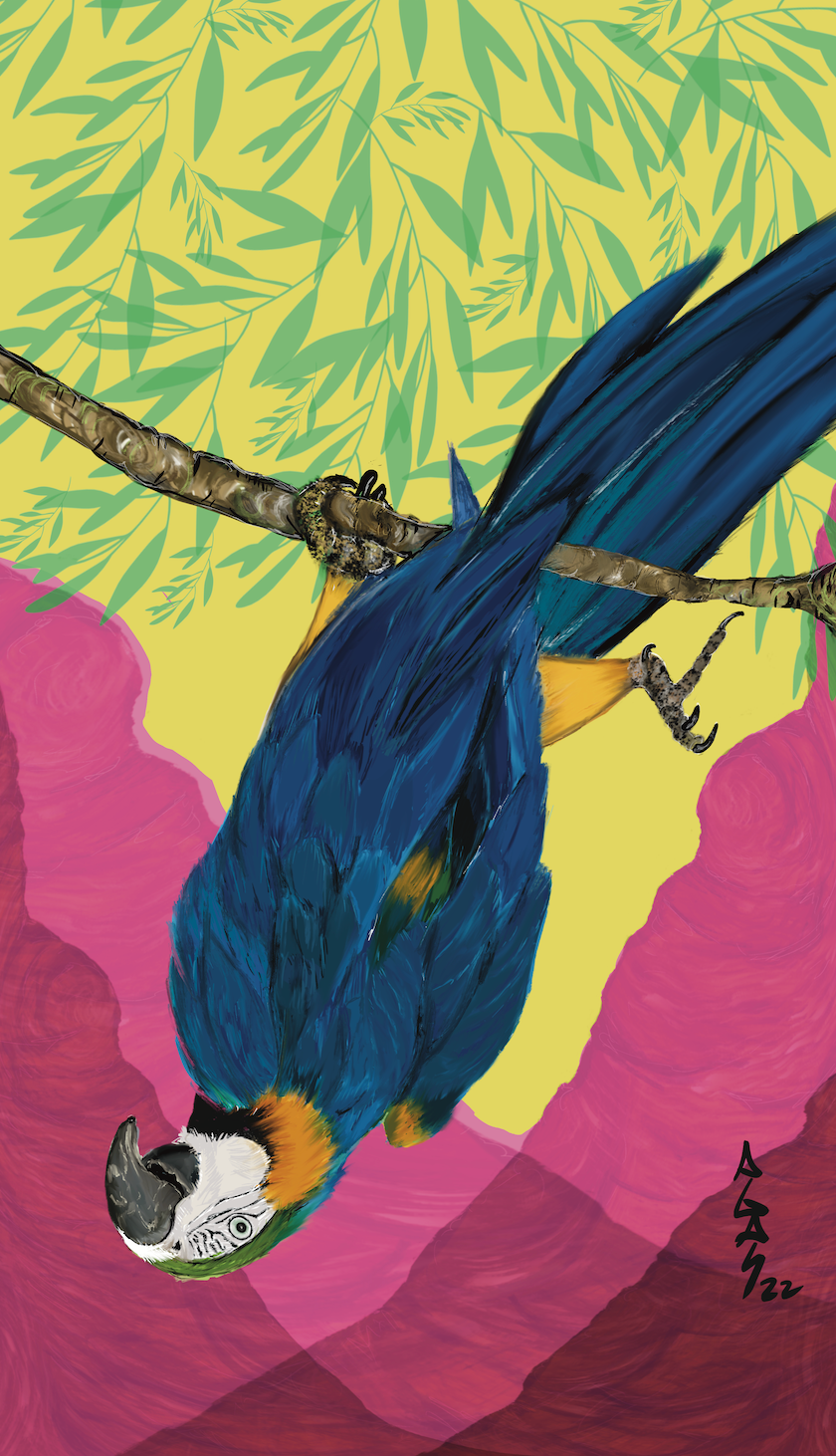 The Art of Compassion Oracle contribution (Procreate and Photoshop)