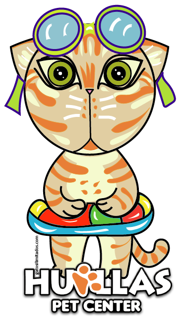 Illustrator Summer Cat Sticker for Pet Shop